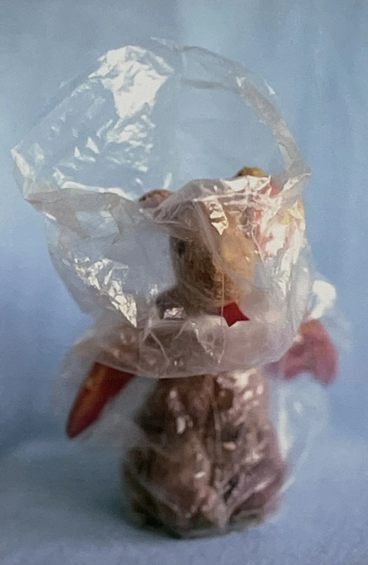 Meredith Allen, Forever (Dragon), 2006, digital archival dry pigment print, 11 ½ × 17 ¼ in, edition 1/6