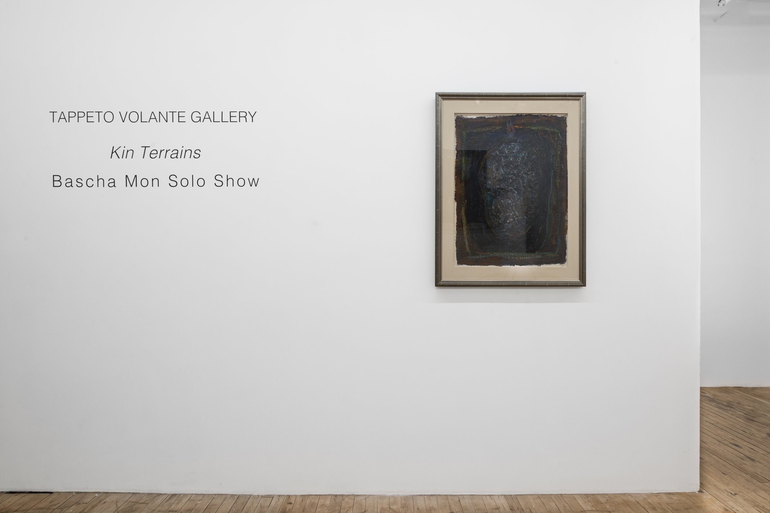 Kin Terrains, 2026, Bascha Mon Solo Show, Tappeto Volante installation view