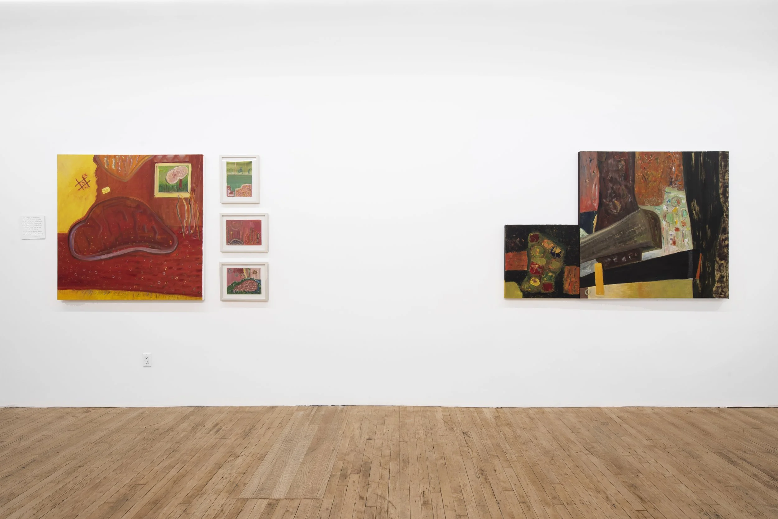 Kin Terrains, 2026, Bascha Mon Solo Show, Tappeto Volante installation view