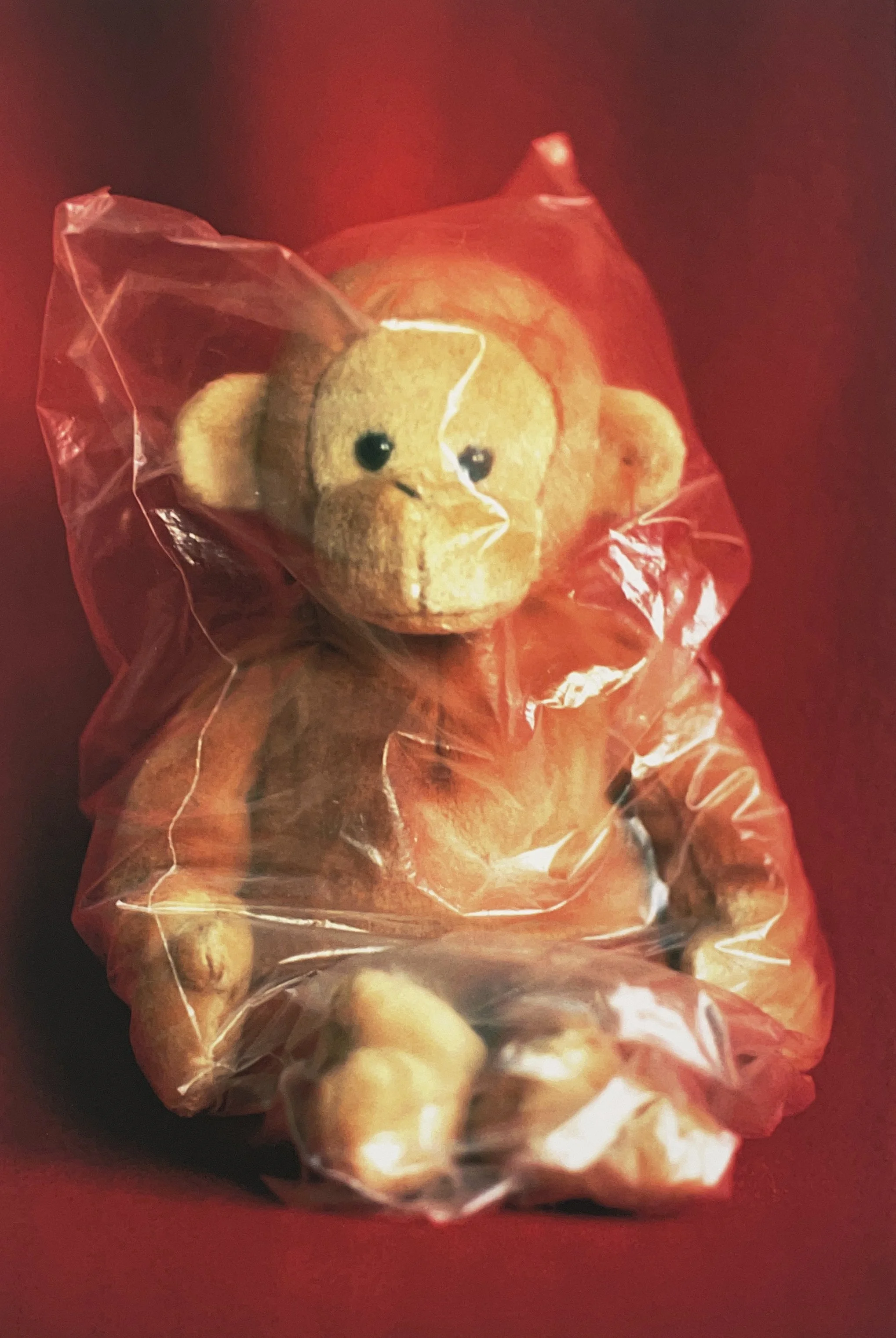 Meredith Allen, Forever (Monkey), 2006, digital archival dry pigment print, 11 ½ × 17 ¼ in, edition 1/6