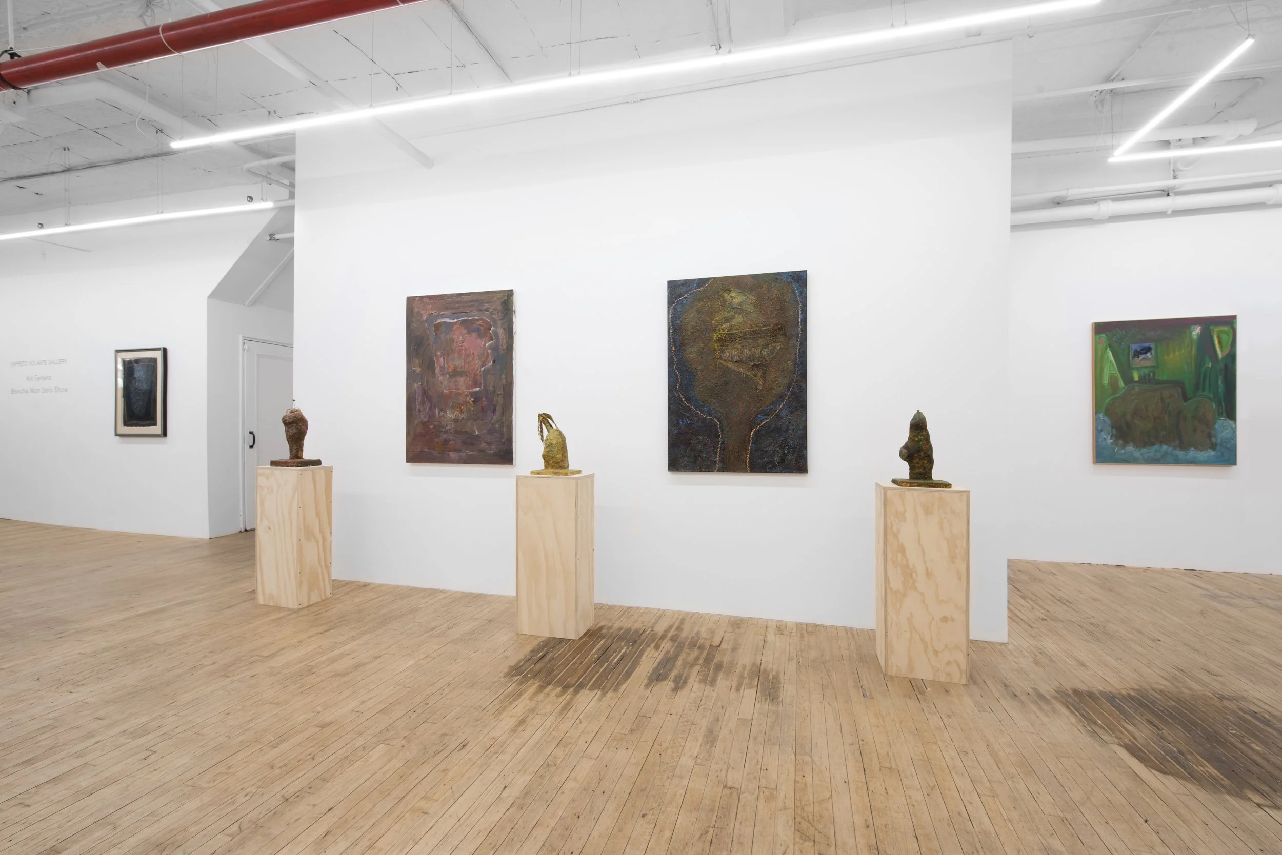Kin Terrains, 2026, Bascha Mon Solo Show, Tappeto Volante installation view