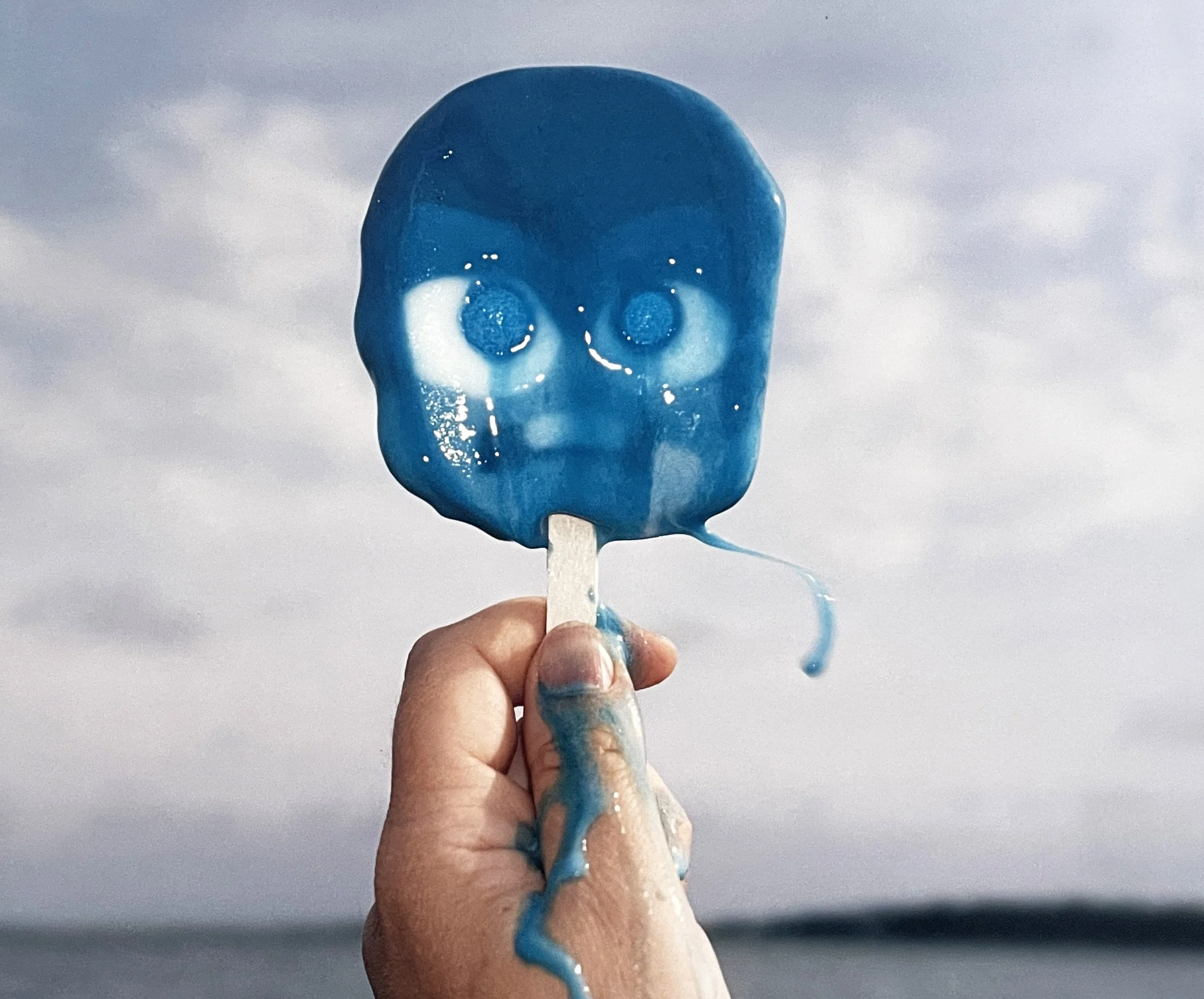 Meredith Allen, Ocean Avenue (Bivemartian), 2002, C-print, 20 × 24 in, edition 1/8