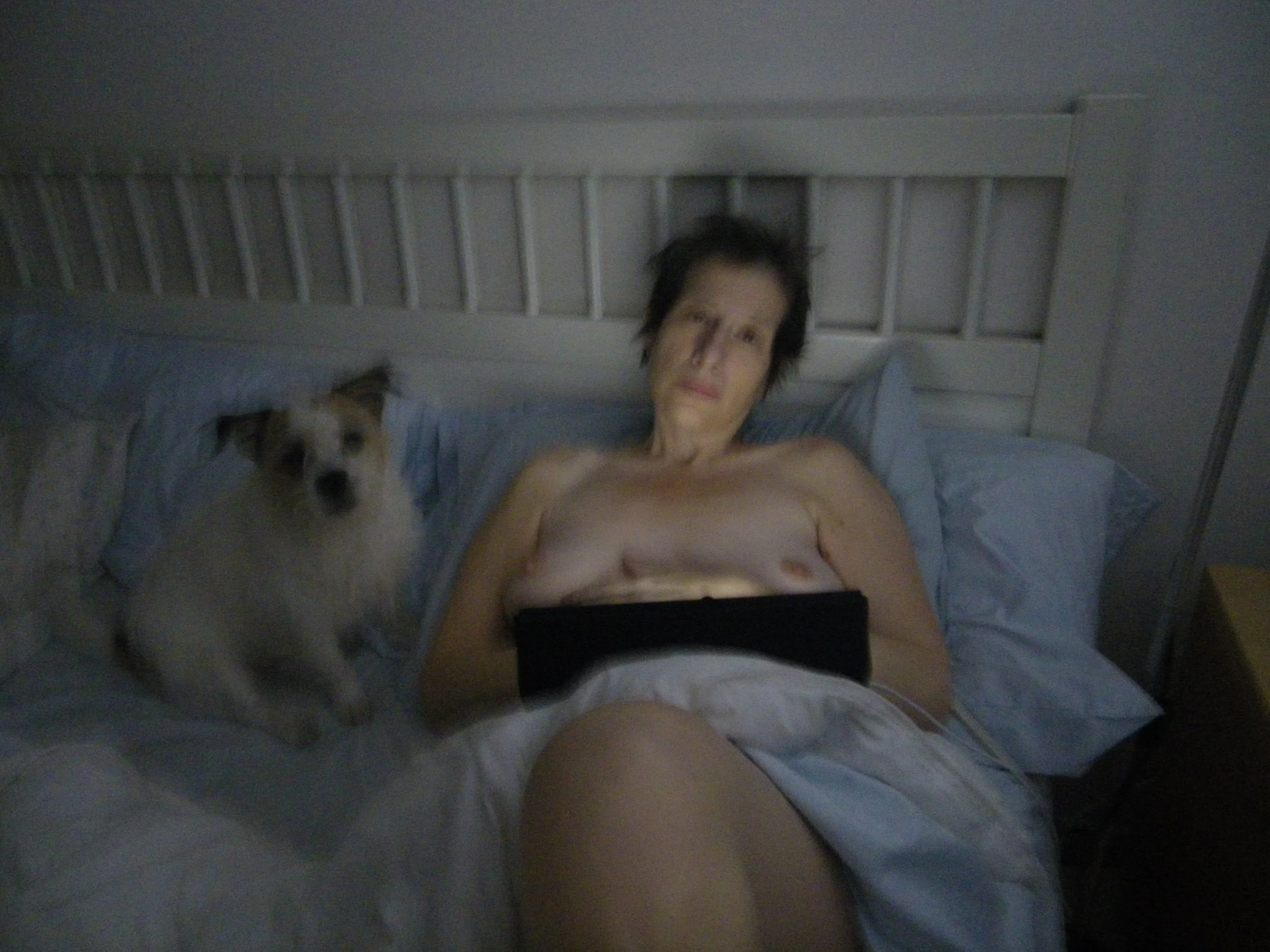 Carol Saft, Laptop, 2011, chromogenic print, 17 × 22 in, edition 1/5