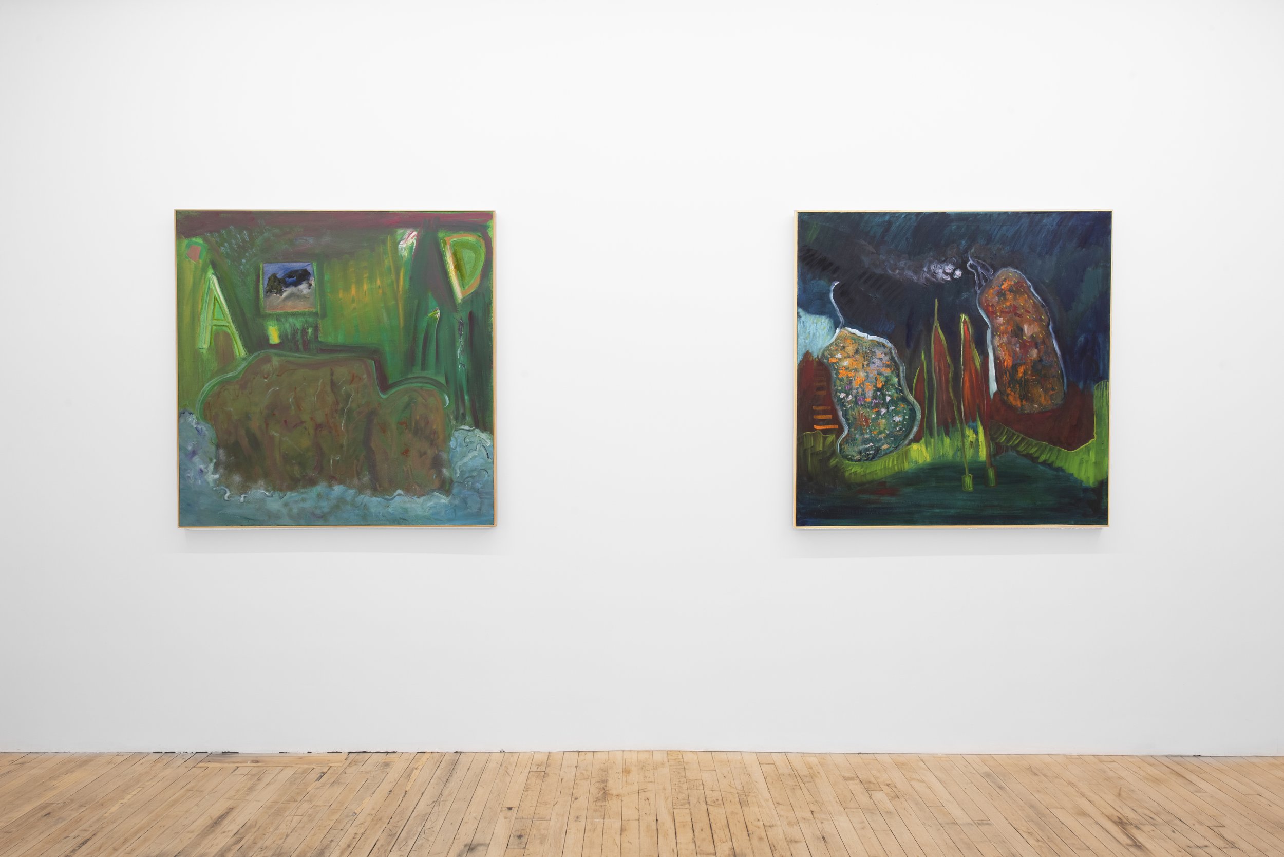 Kin Terrains, 2026, Bascha Mon Solo Show, Tappeto Volante installation view
