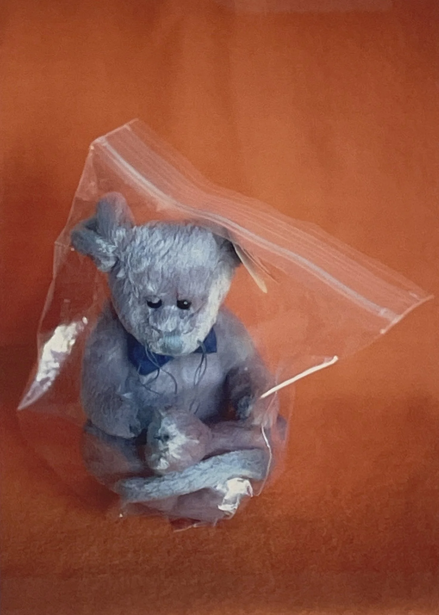 Meredith Allen, Forever (Orange Mause), 2006, digital archival dry pigment print, 11 ½ × 17 ¼ in, edition 1/6