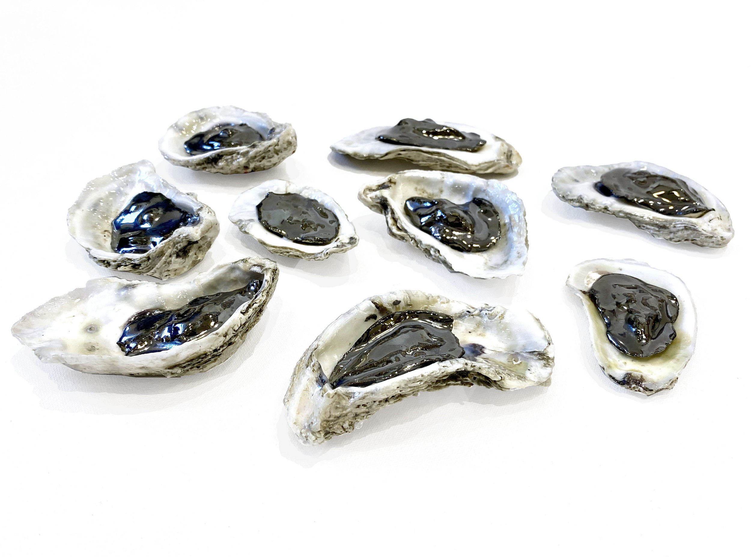 Kate Bancroft
Lucky, 2026
Oyster Shells, varnish, glue, glazed ceramic
Variable Dimentions