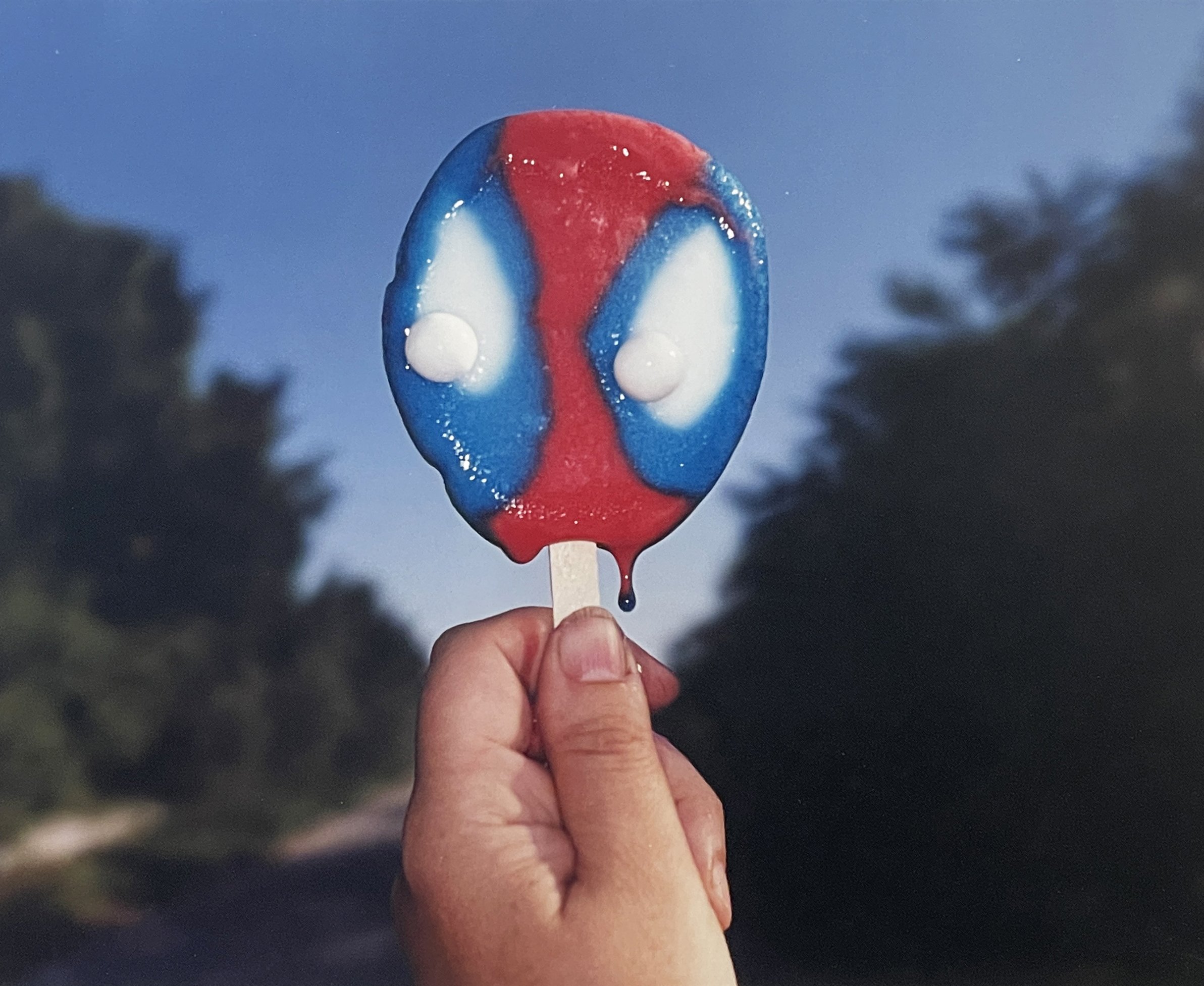 Meredith Allen, Todelo Road (Spiderman), 2002, Chromogenic print, 20 × 24 in