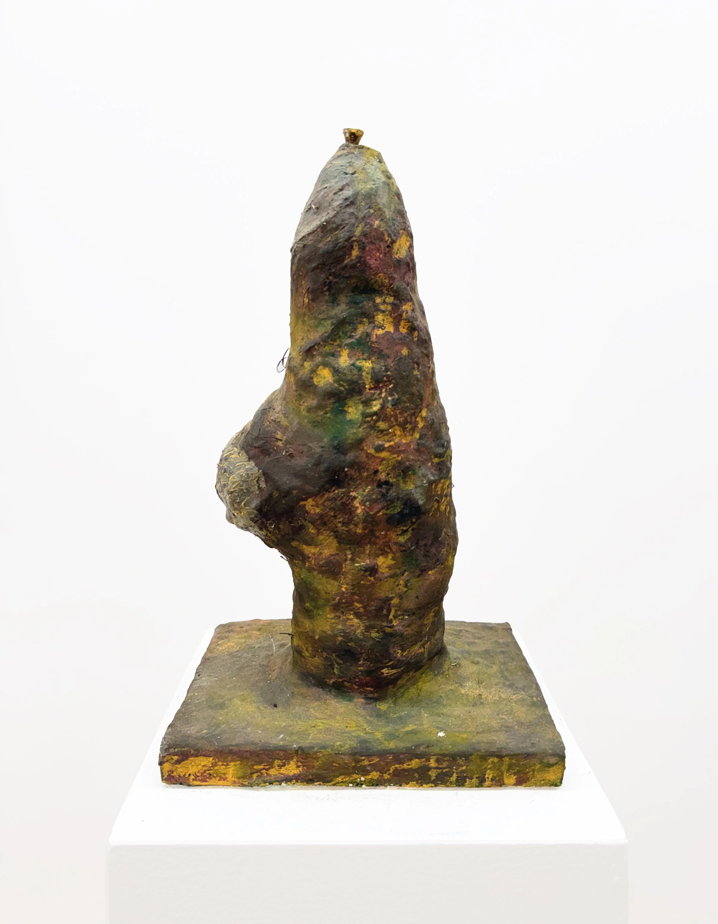 Bascha Mon, Head 13, 1995–2007, plaster, soft pastel and encaustic, 9 × 16 × 8 in
