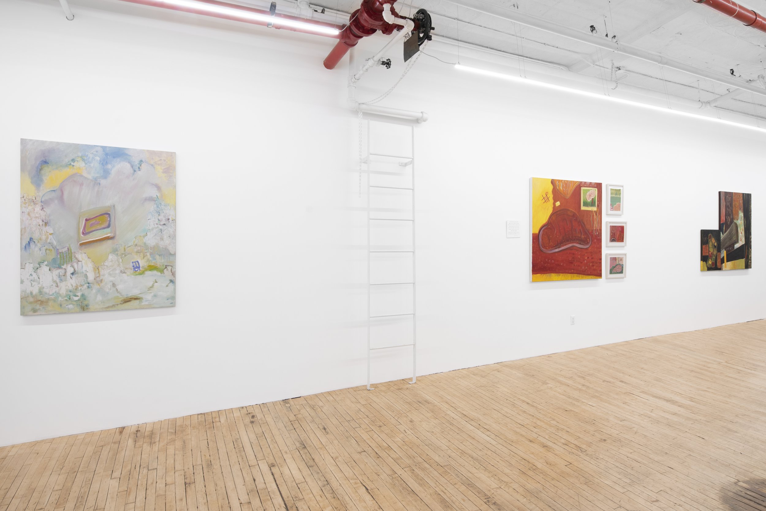 Kin Terrains, 2026, Bascha Mon Solo Show, Tappeto Volante installation view
