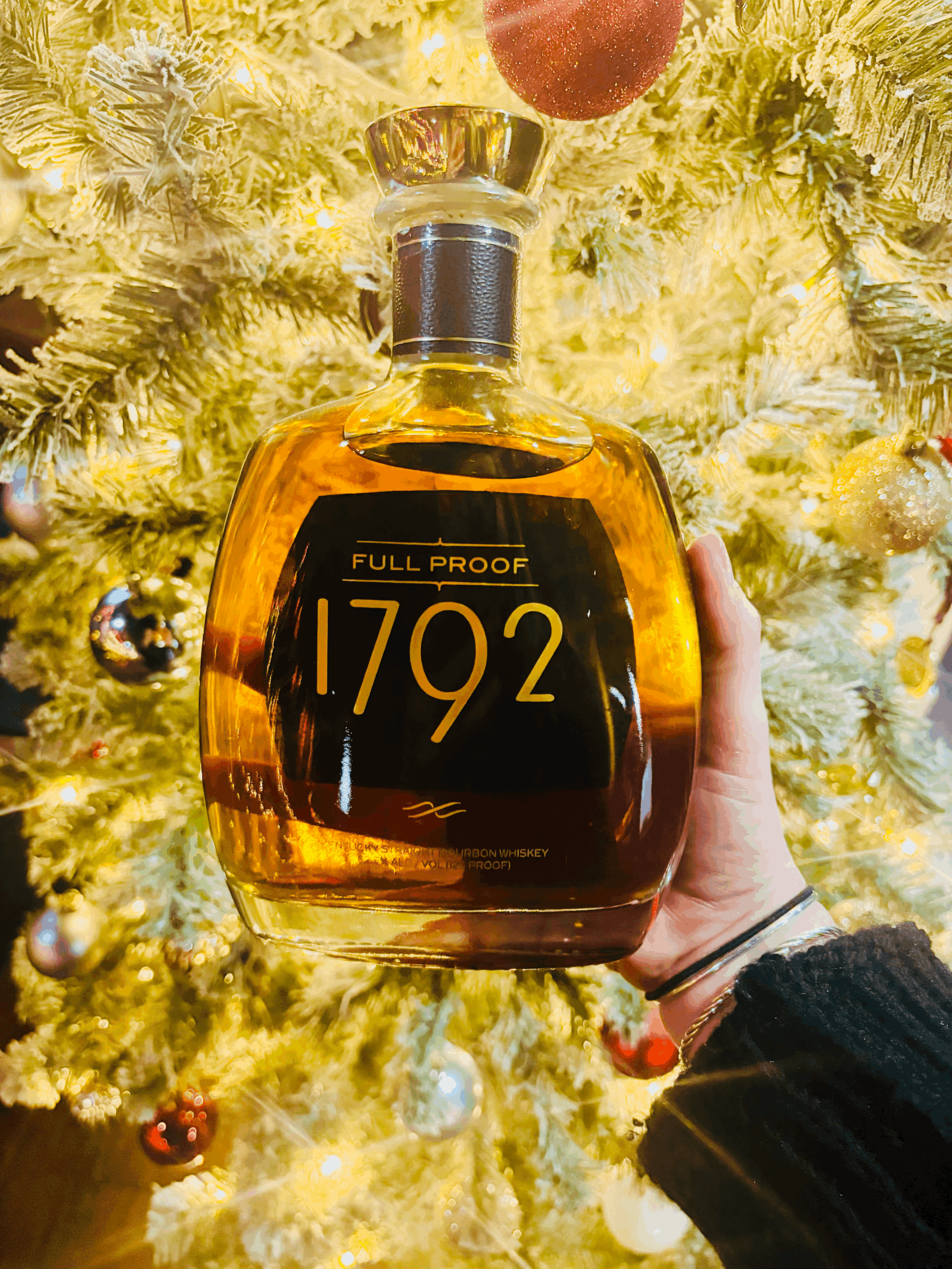 21st Day of Christmas: 1792 Full Proof