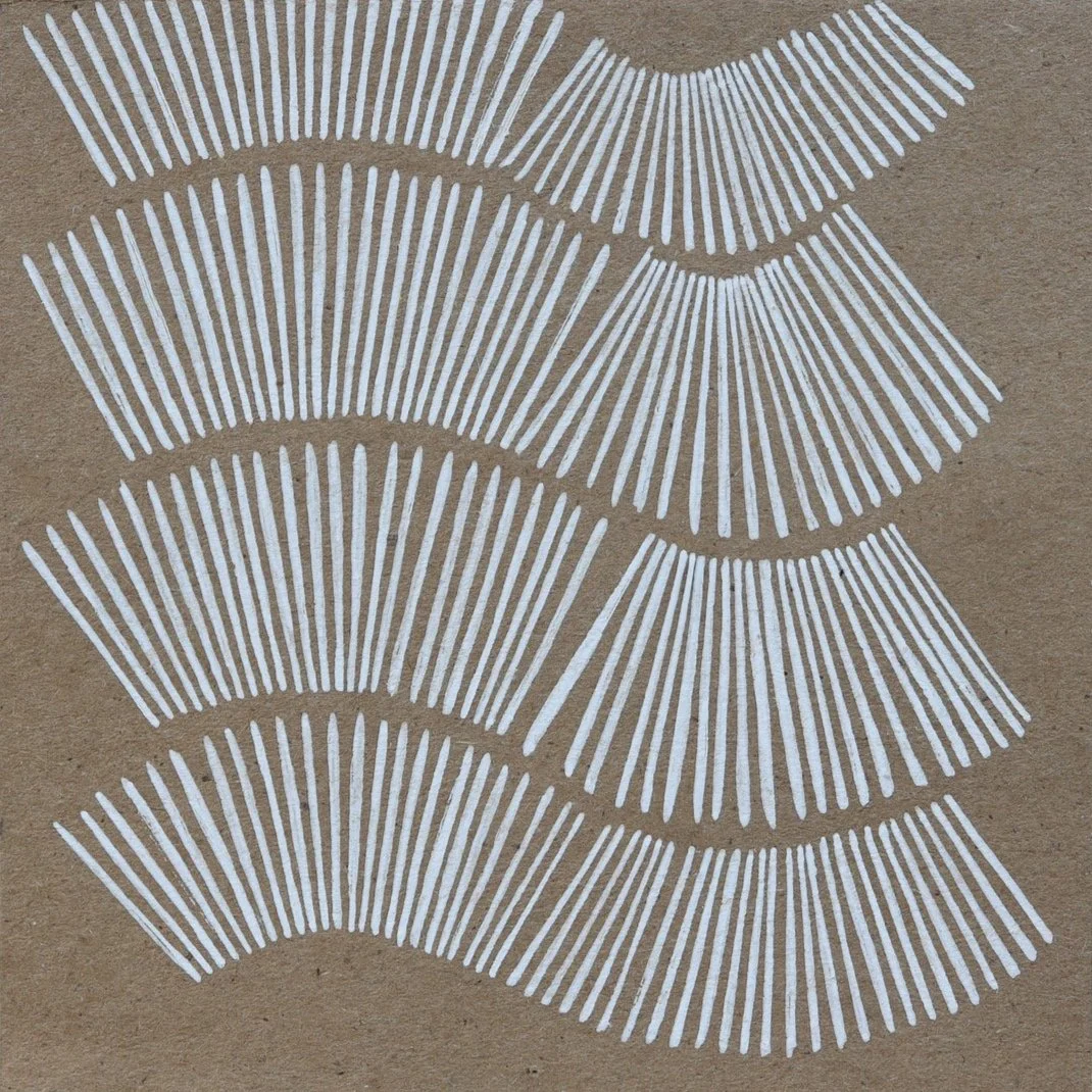 3D5A2300.jpg