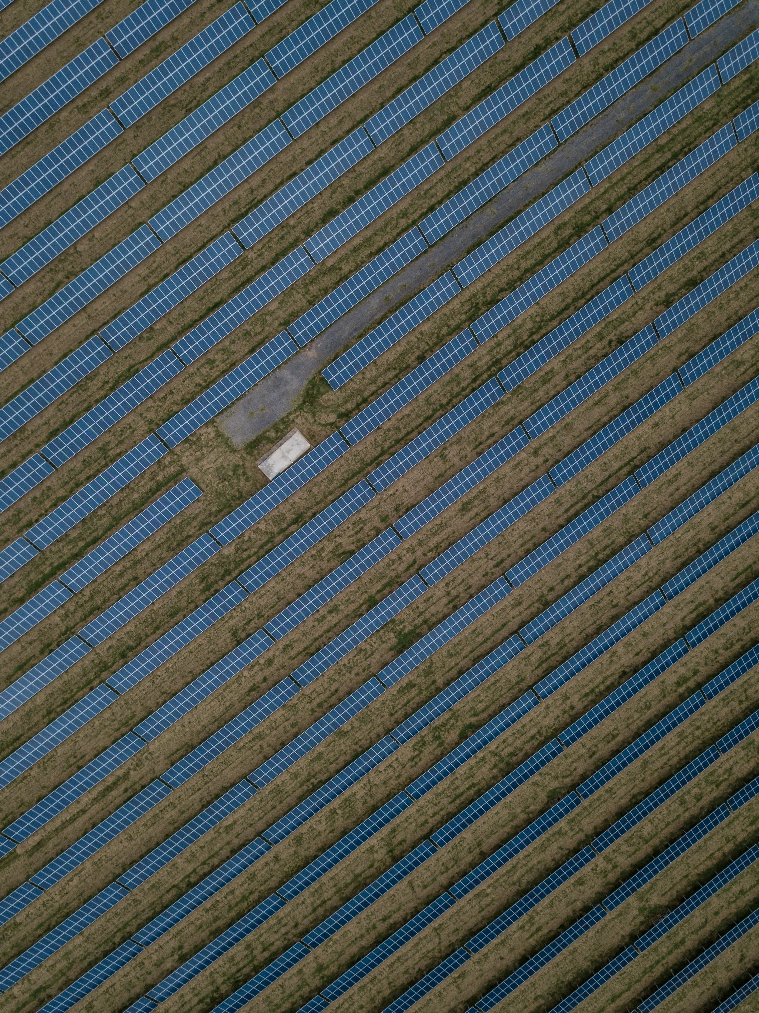 ryan-searle-oeSxn9z_15I-unsplash.jpg