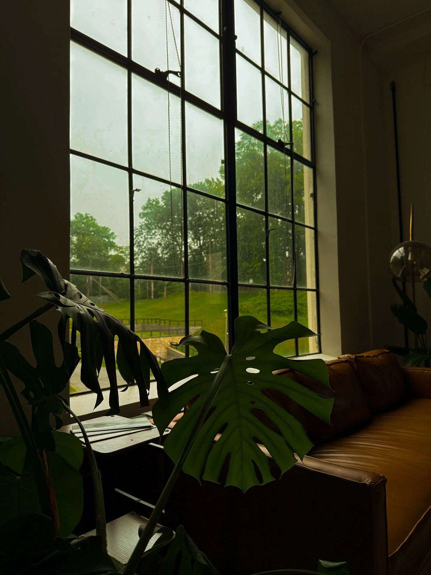 Things I&rsquo;m grateful for this year🤍

&bull; Quiet moments at 🌿 @wellnest.ny 
&bull; Being part of birth stories 🤰🏻
&bull; @lifetime.life and my AMP army 💪
&bull; Family beach memories at 🏝️ @casaazulsrq 
&bull; Patient love + appreciation 