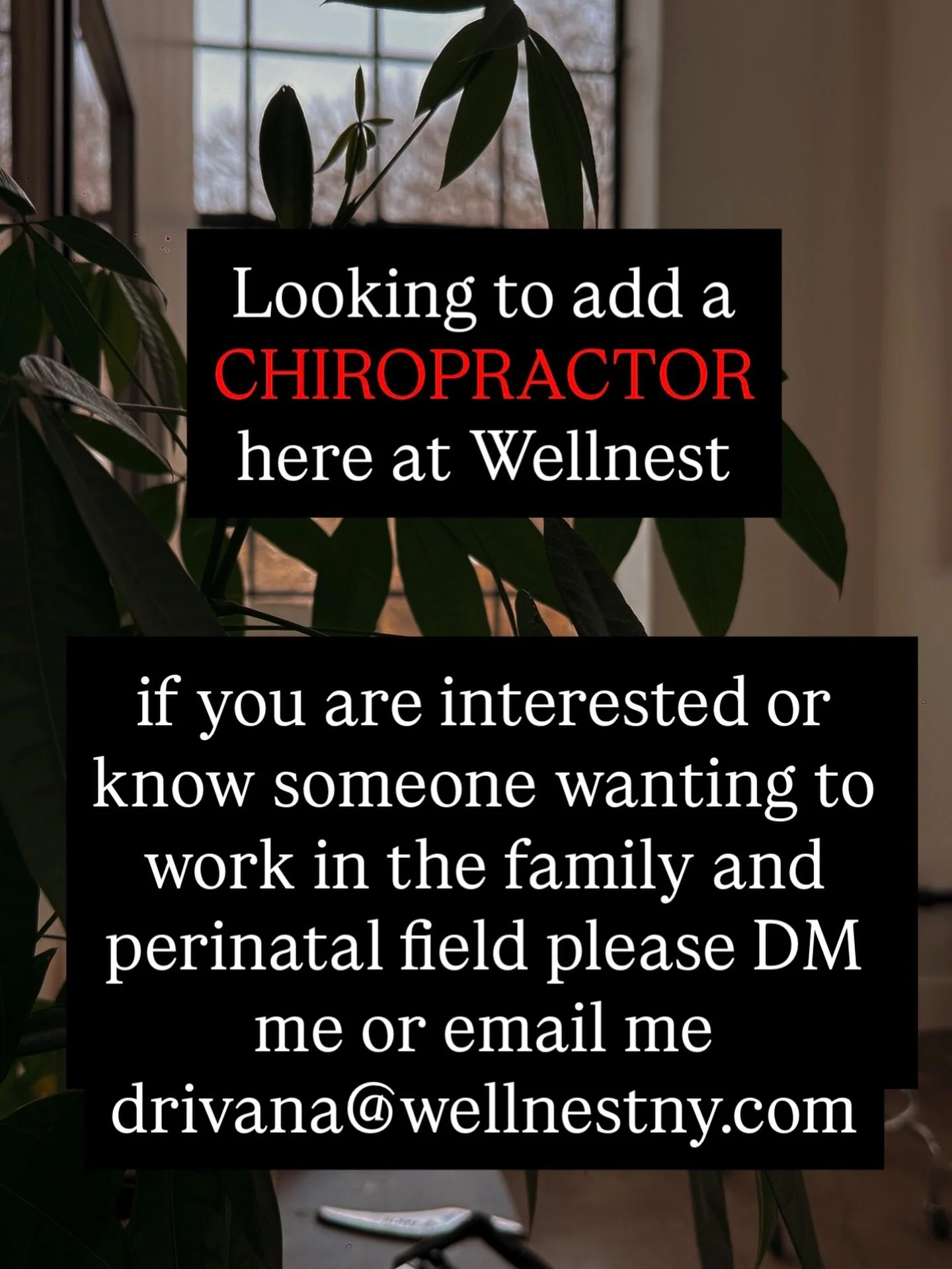 Wellnest is growing 🤍 

I am looking for a chiropractor who is passionate about caring for pregnant women, families, and patients who want a natural path to healing.

This is more than a job. 
It&rsquo;s a chance to be part of a team in a calm, inte