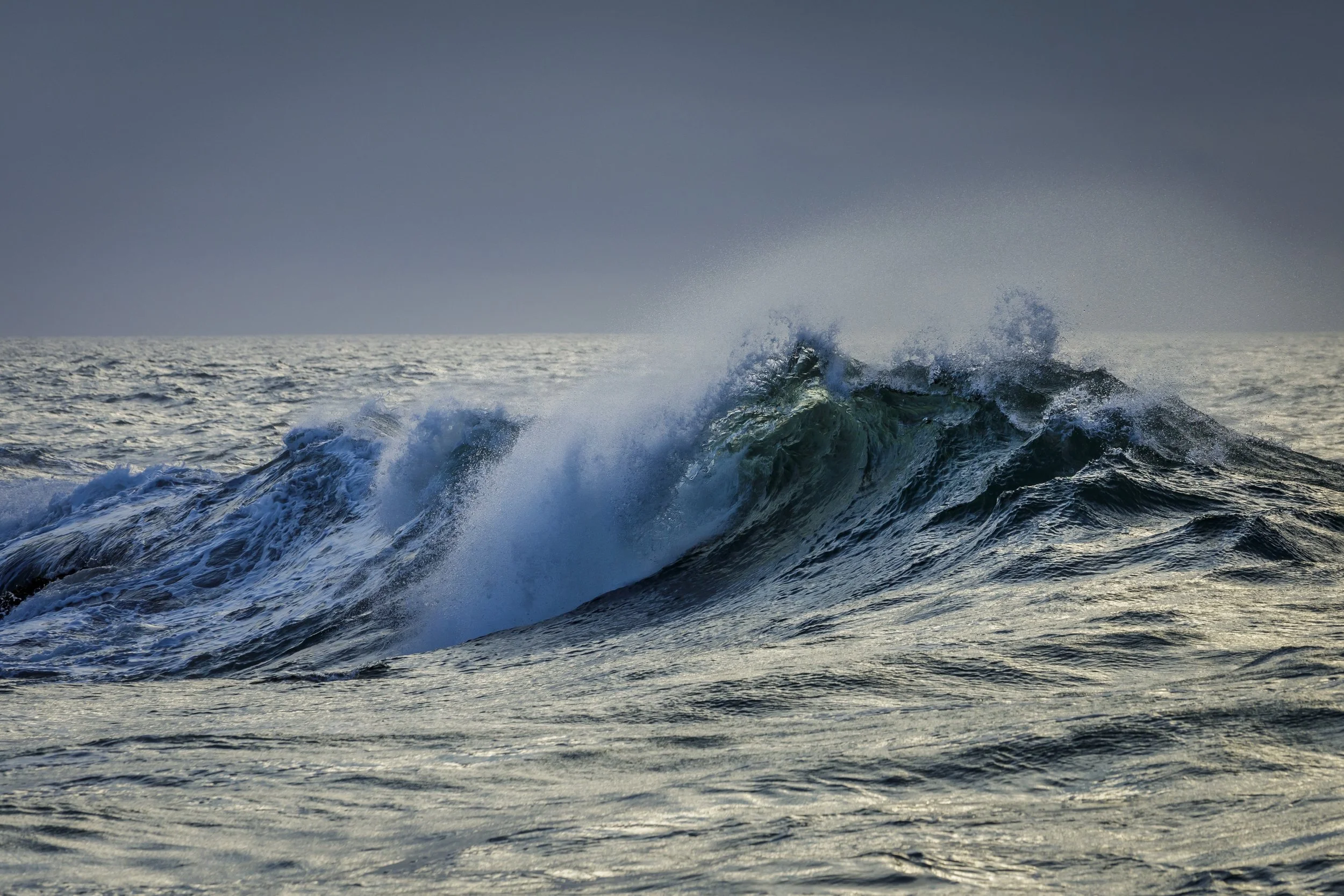 Synchronizing Waves of Signaling in the Presomitic Mesoderm to Study Regulatory Strategies