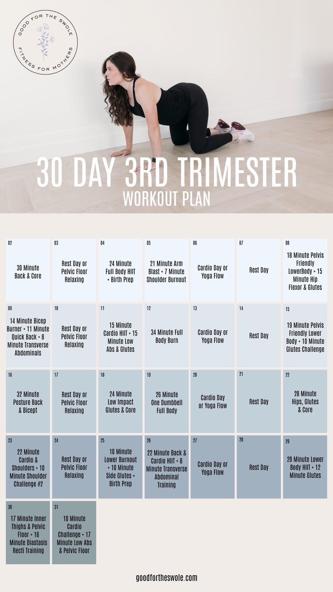 Pregnancy Workout Guide - Third Trimester Only — Good for The Swole