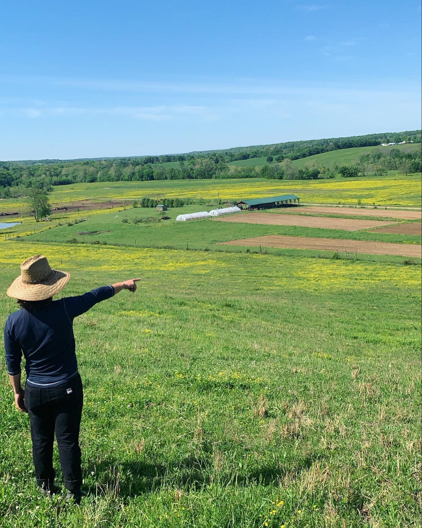 Challenging to sum up how fulfilling &amp; rejuvenating Saturday&rsquo;s excursion was. We spent time with wild horses 🐎&hellip; learned about the differences between organic + biodynamic farming. Helped install stakes + rope for peas to grow up (mo