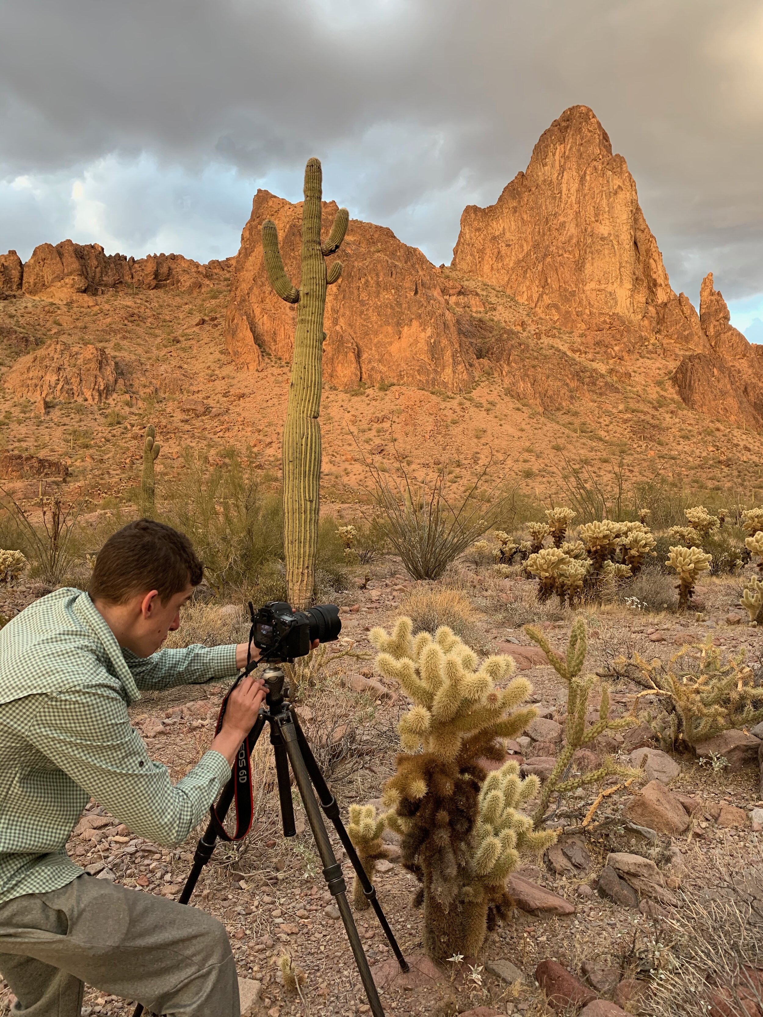 KOFA National Wildlife Refuge, AZ