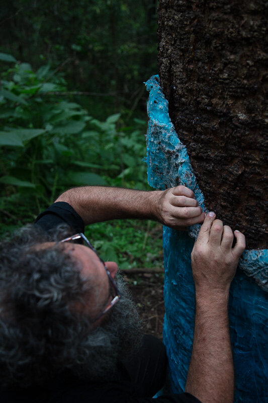 Bunya Infinity Forest - creating representations of the Bunya Forest National Museum of Australia with Dr Leah Barclay and Dr Bianca Beetson.