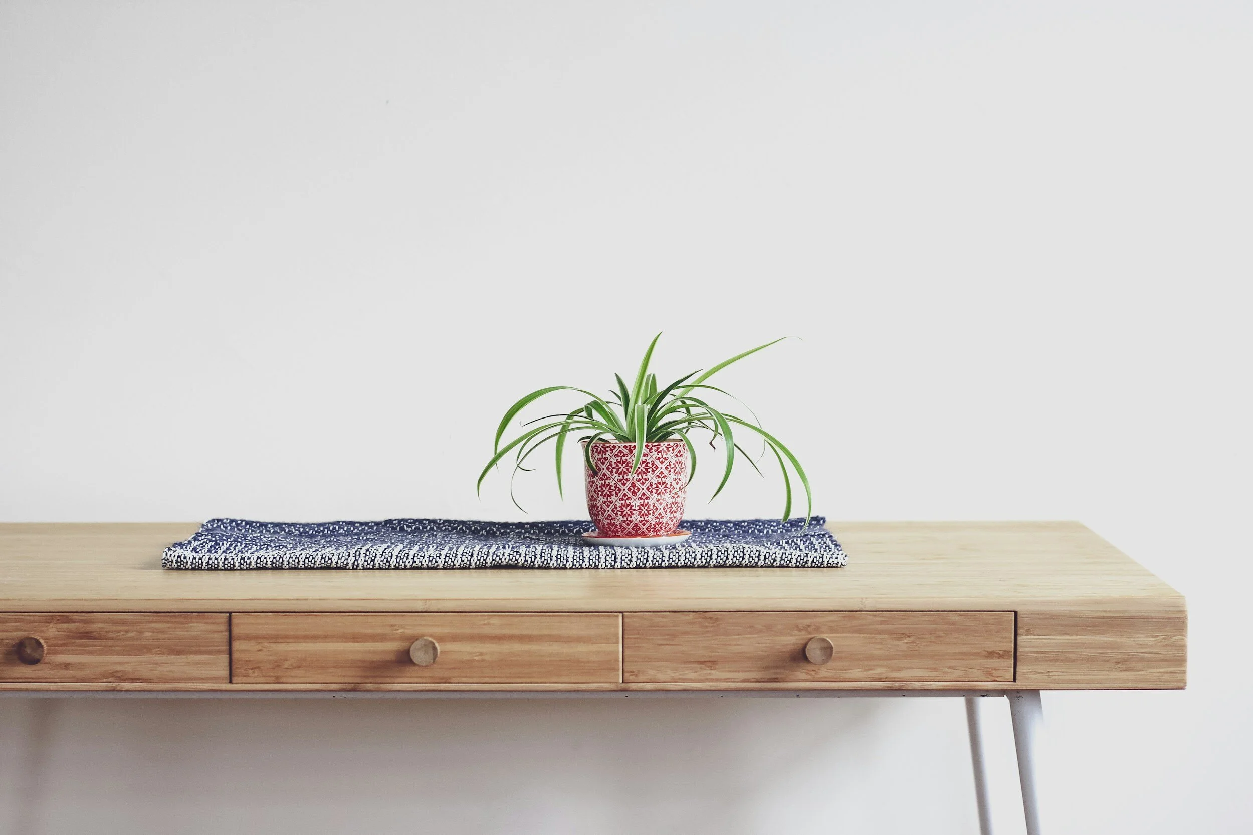 Wooden desk with a spider plant in a red patterned pot on a blue textured cloth against a white background.
