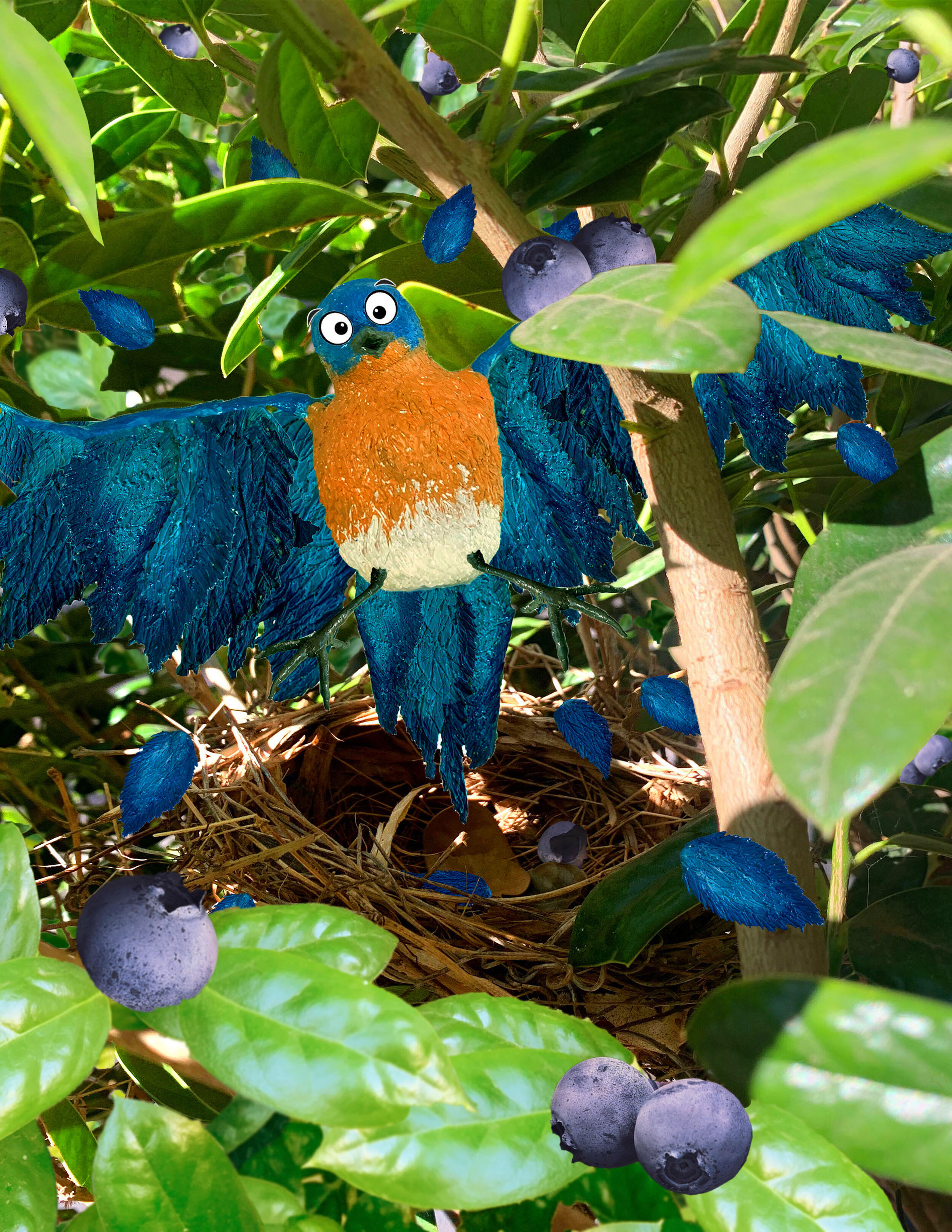 “AOH!” shouted the blue bird. It was quite a shock to find a giant, furry nose poking its way into your living room! Bird flapped her wings and shuffled her feet, puffing out her feathers at this intruder, “WHAT are you doing in my HOME?!”