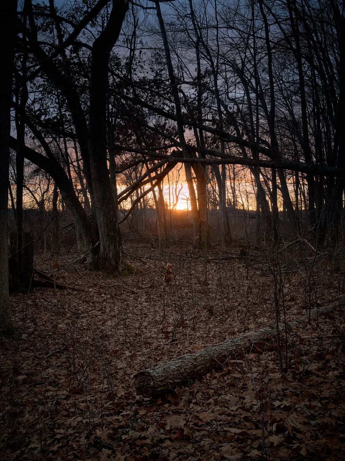 20251224_longlake_Q1033789 1-Edited 1.jpg