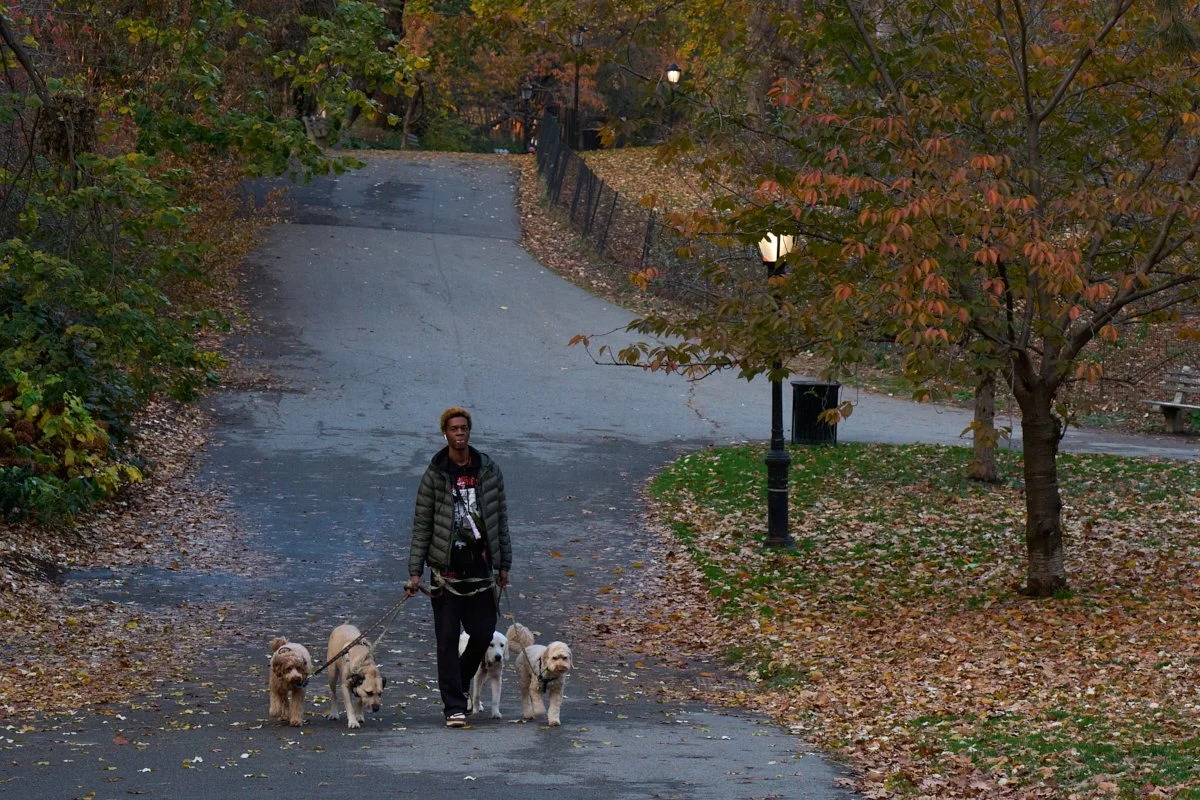 20251119_riversidepark_79 st_A125674 1 1 1.jpg
