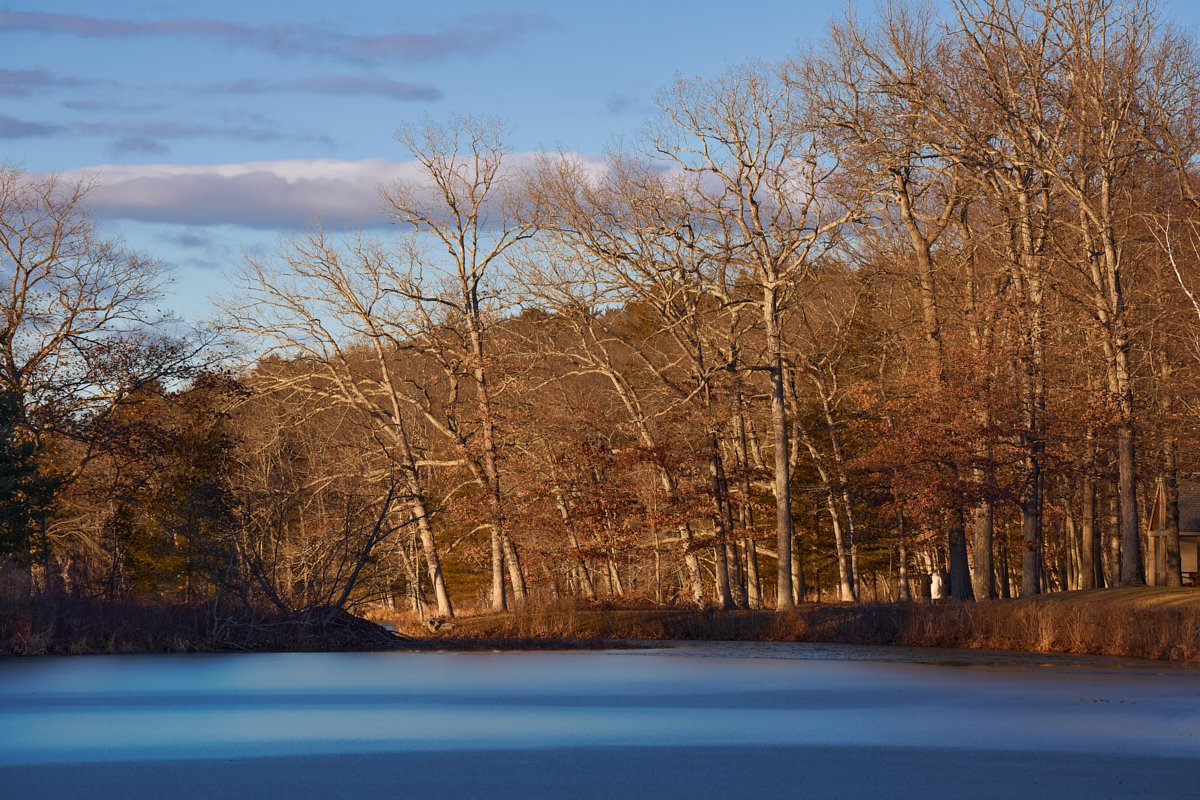 20251225_longlake__A126019-Edited 1.jpg