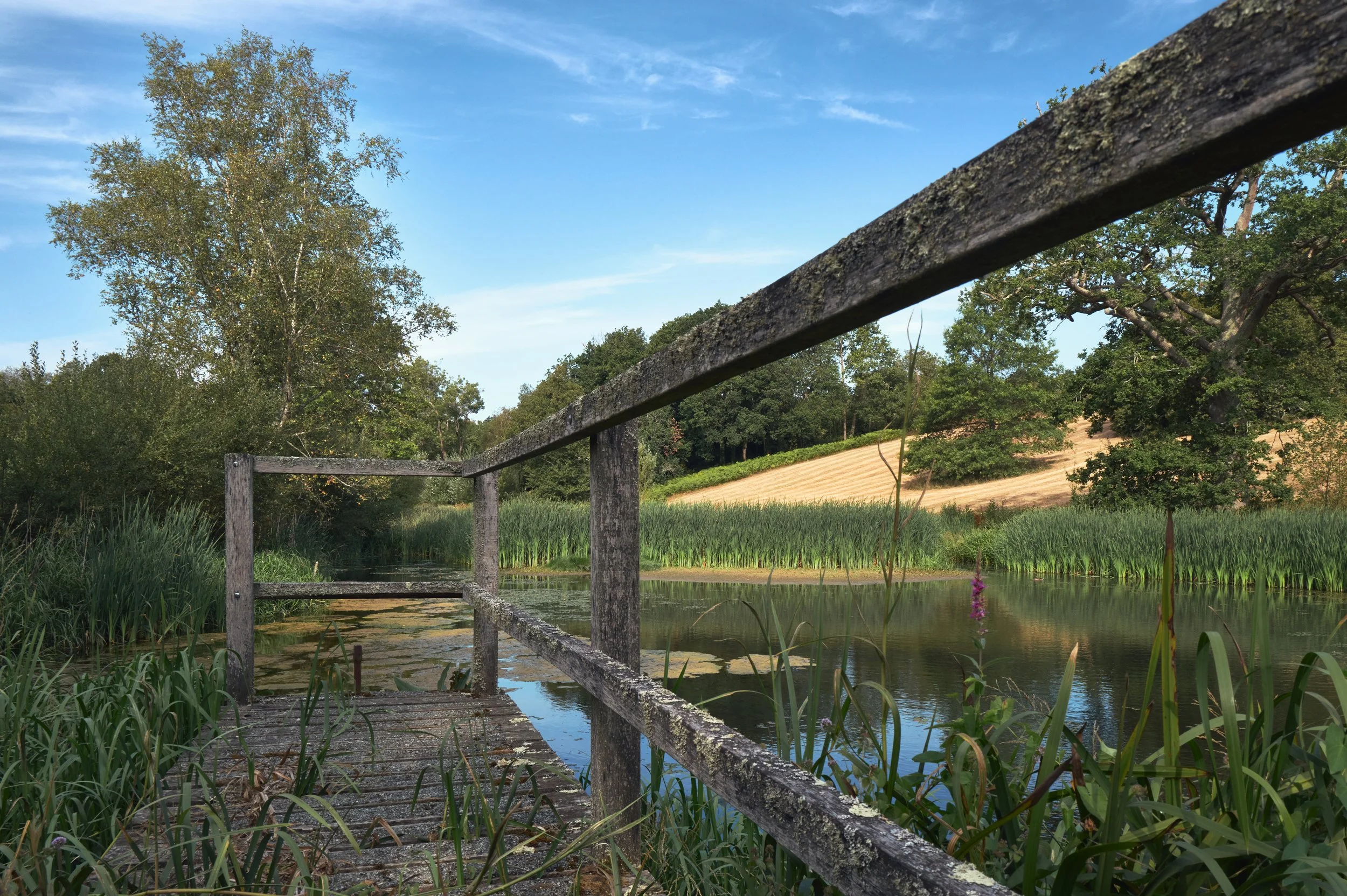 Gravetye Manor_L1037362