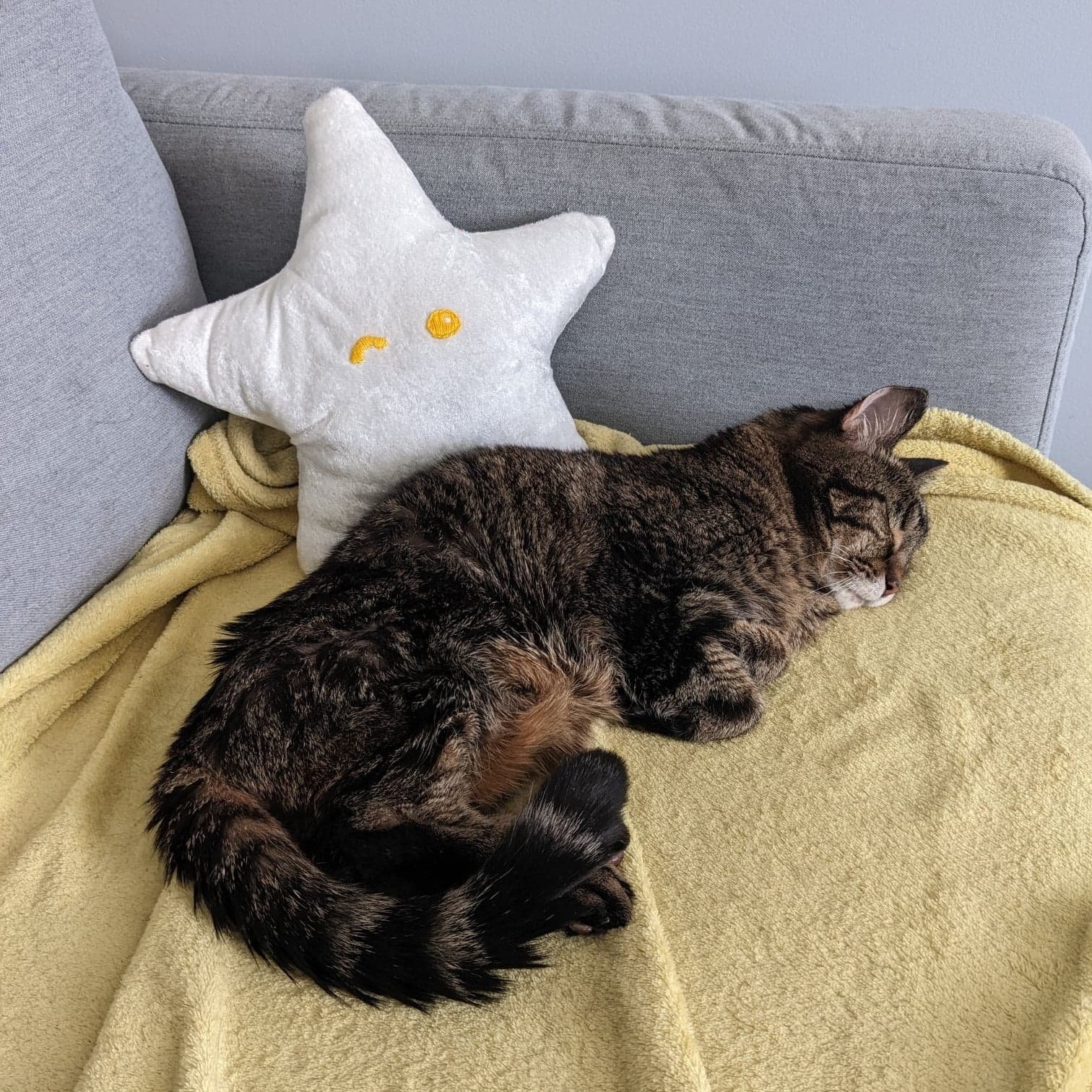 Star plushie