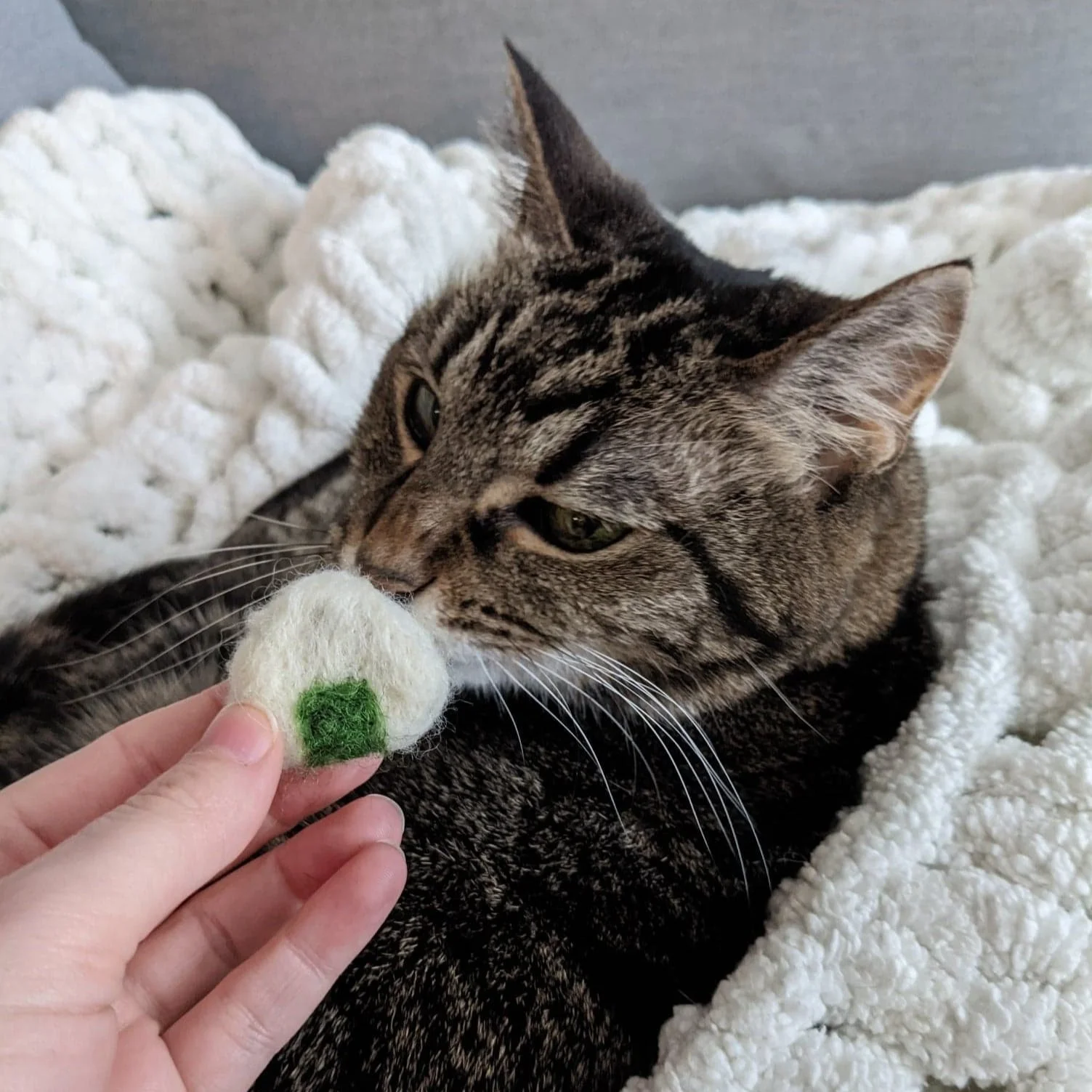 Felted catnip stuffed cat toy