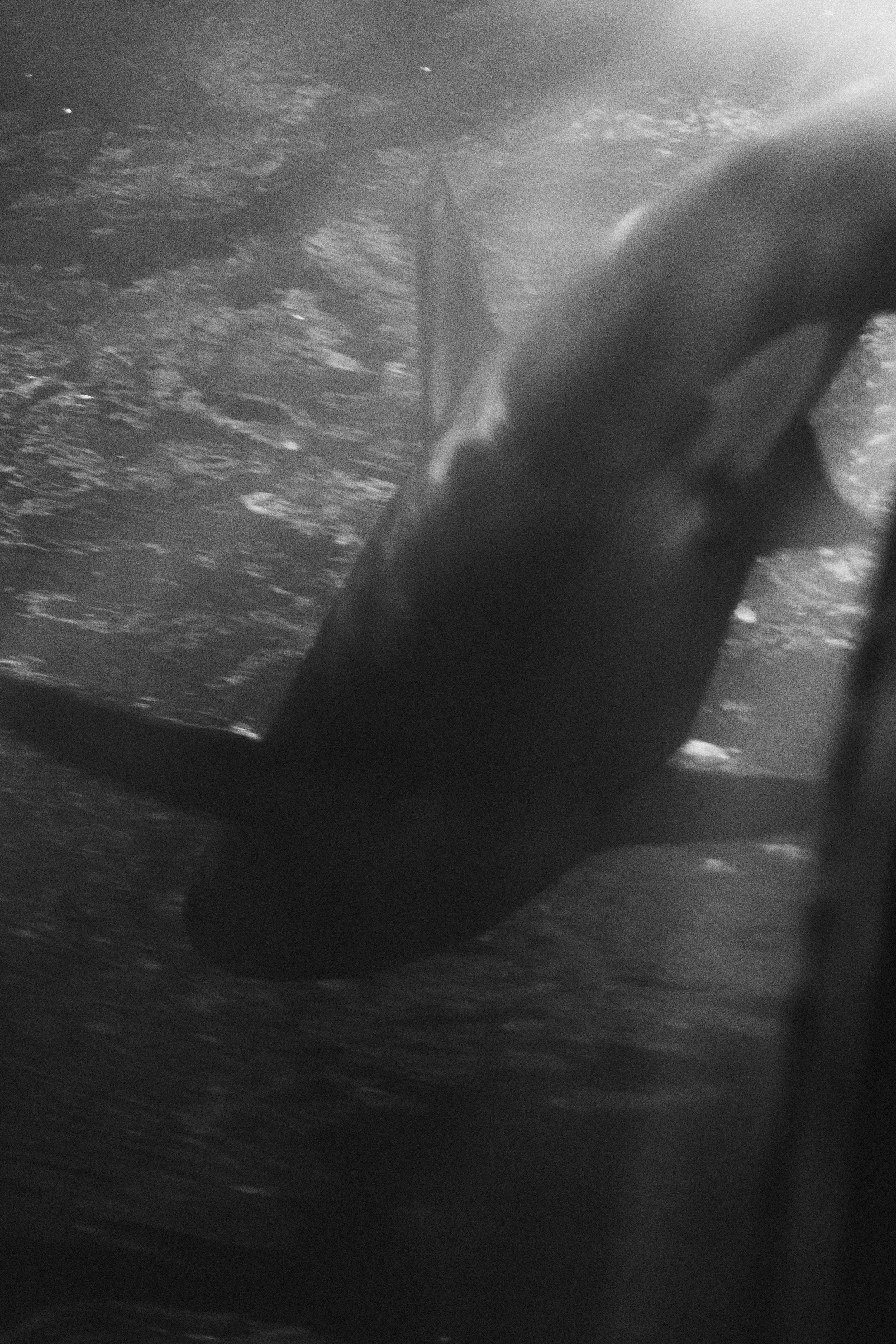 DSC04852.jpg