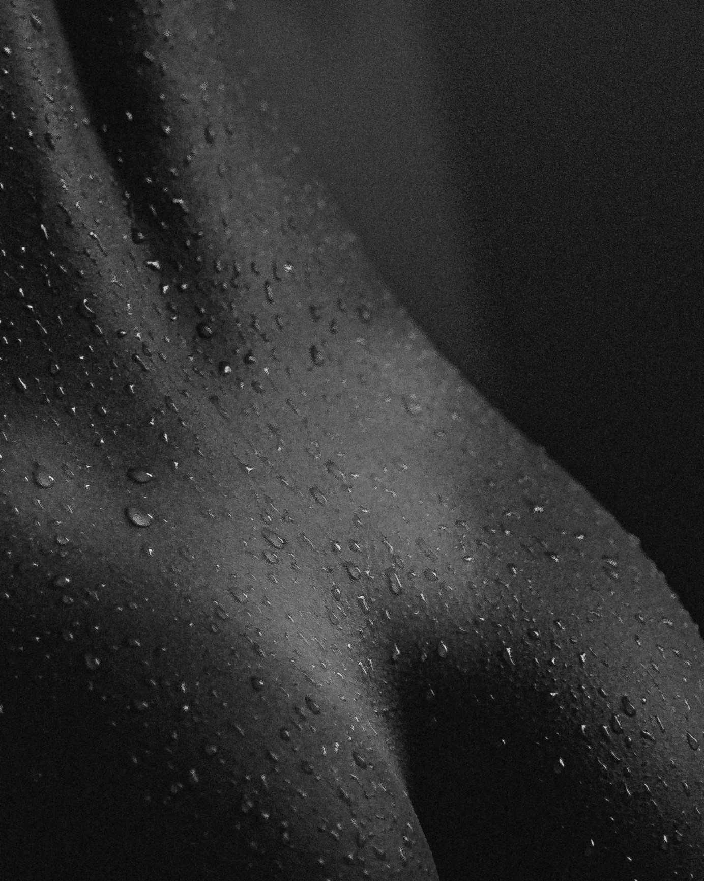DSC02413.jpg