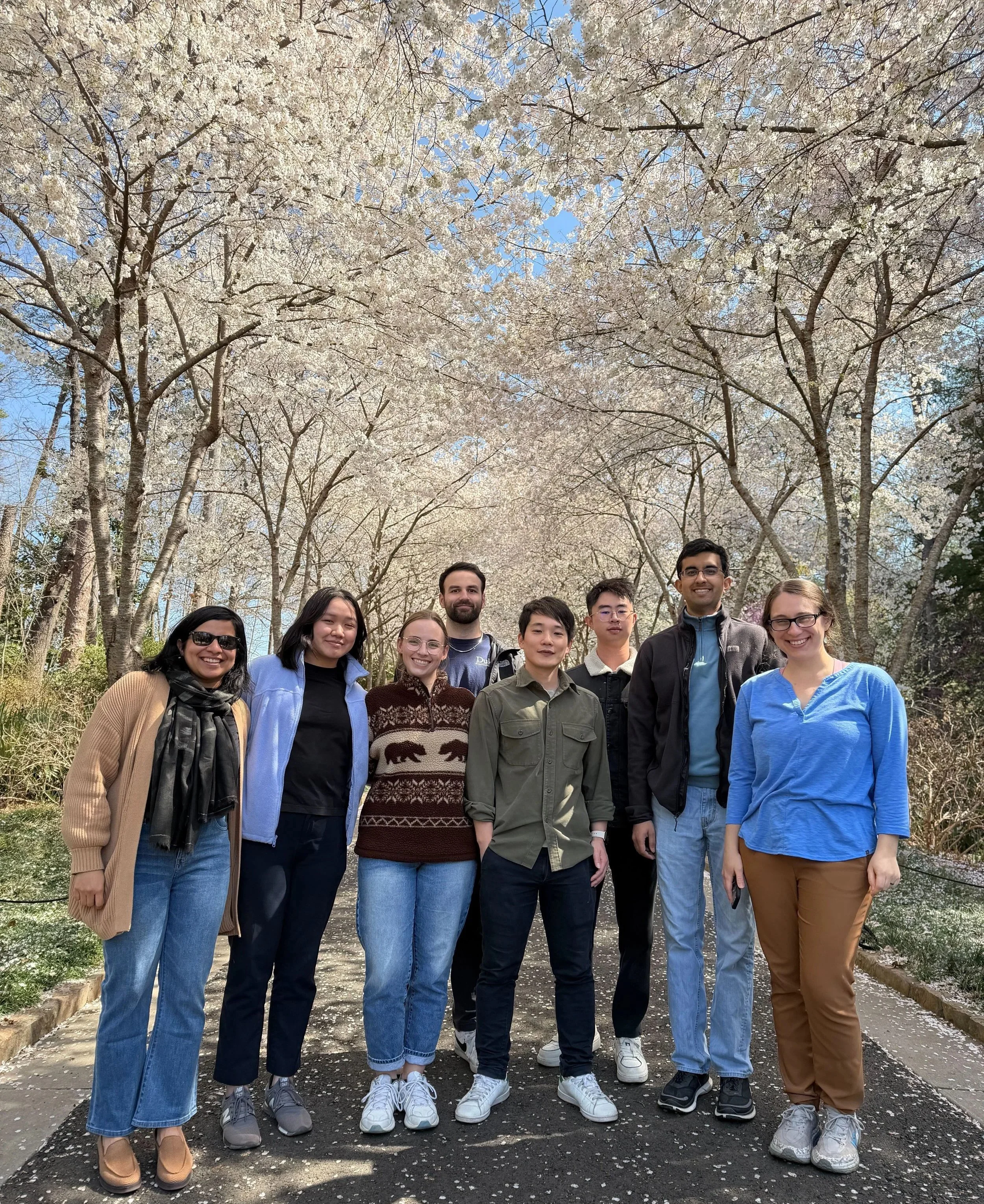 Celebrating Belle's acceptance to grad school with a visit to the Duke Gardens cherry blossoms!!!