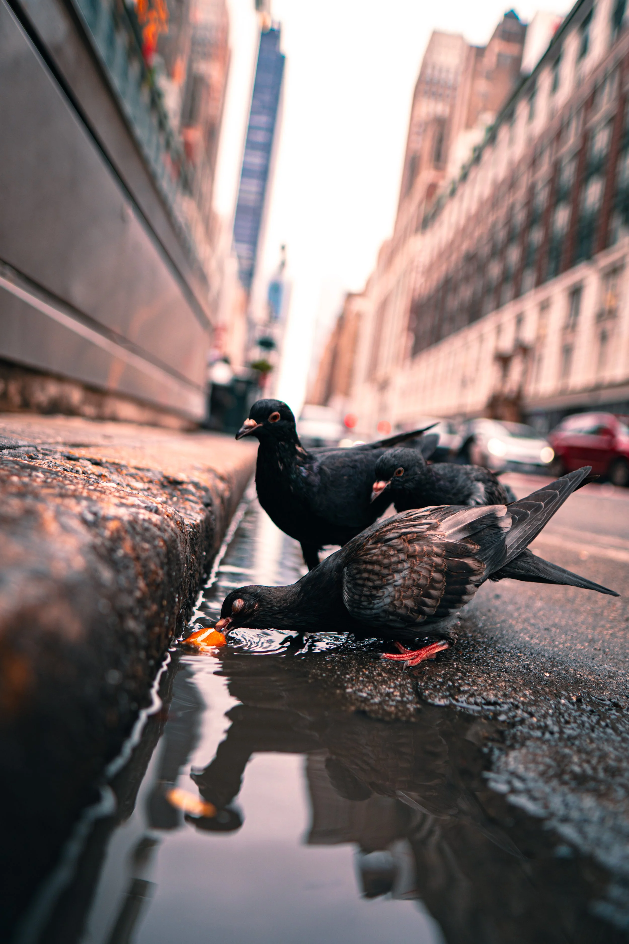 365 Day Challenge_03394.JPG