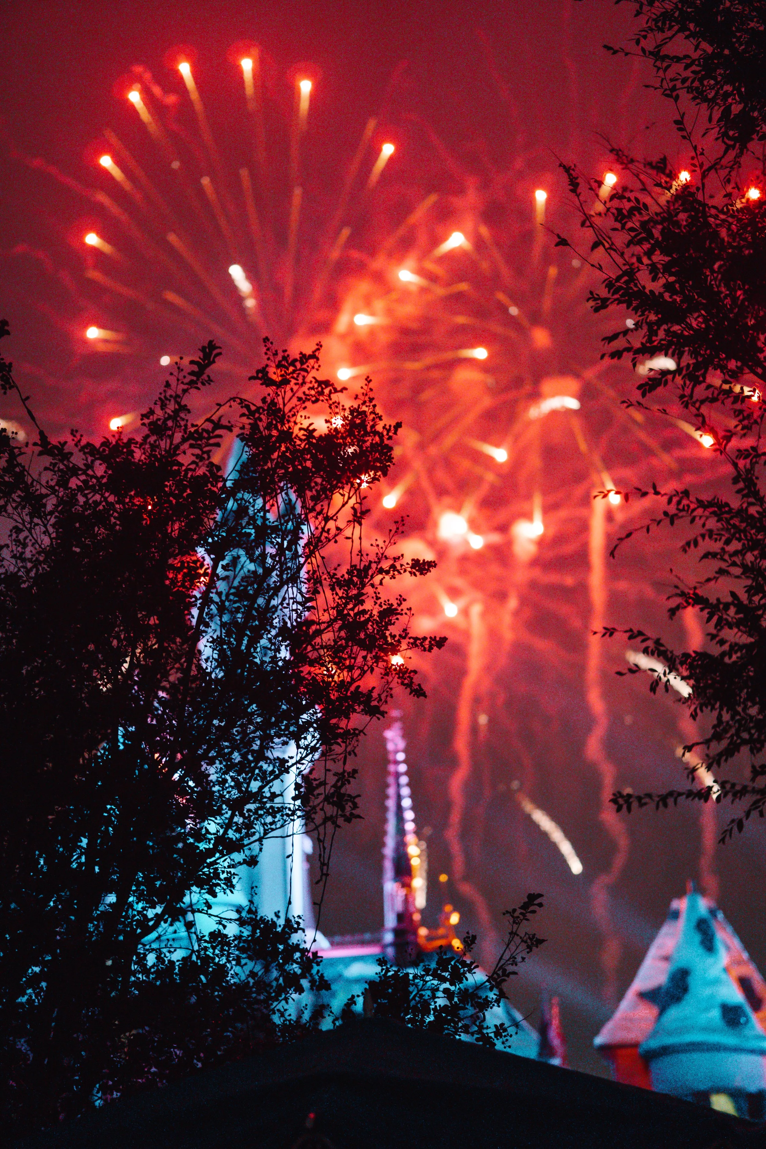 Disneyland 10:21_00893.JPG