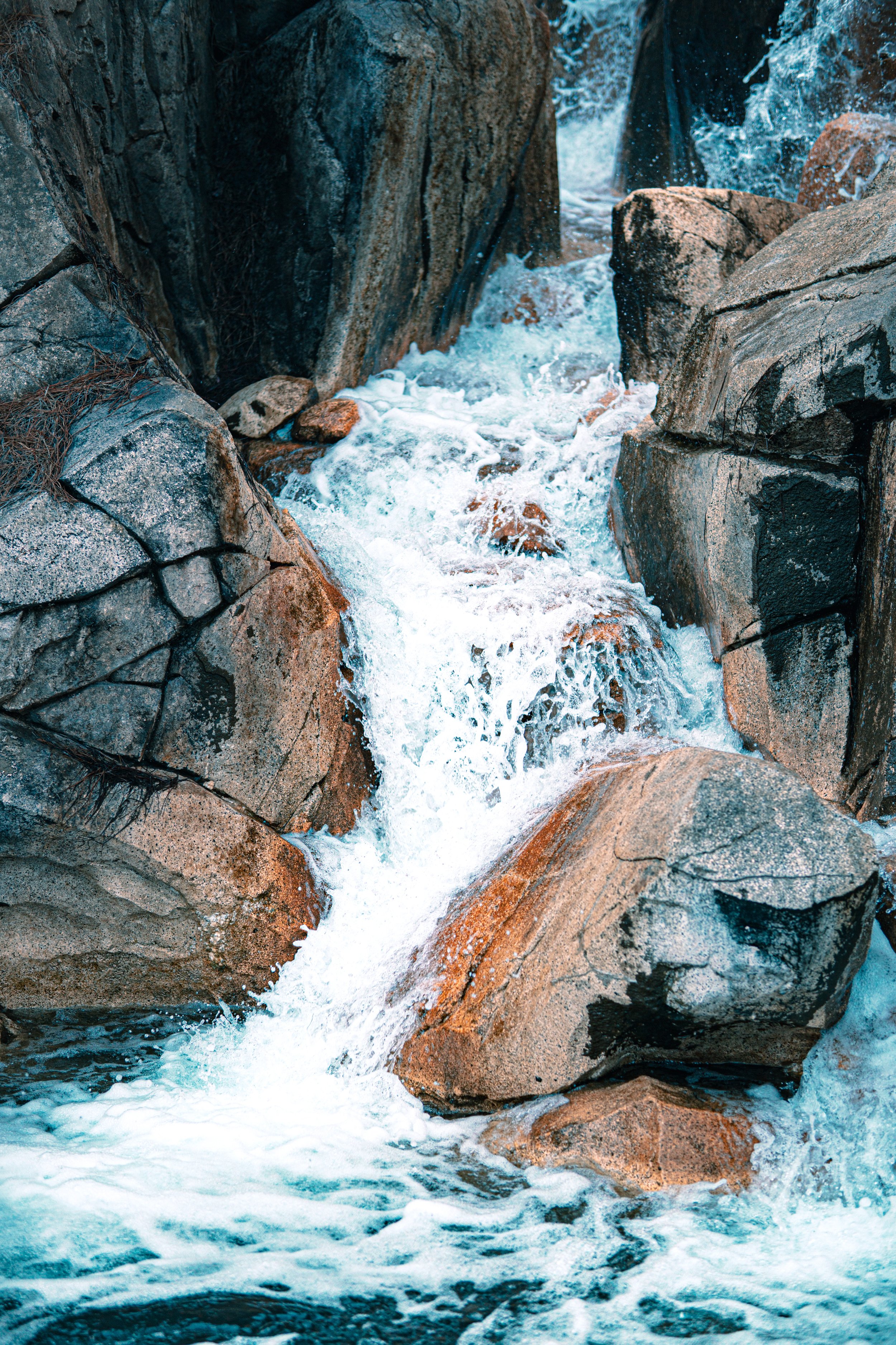 Disneyland 10:1707498.JPG