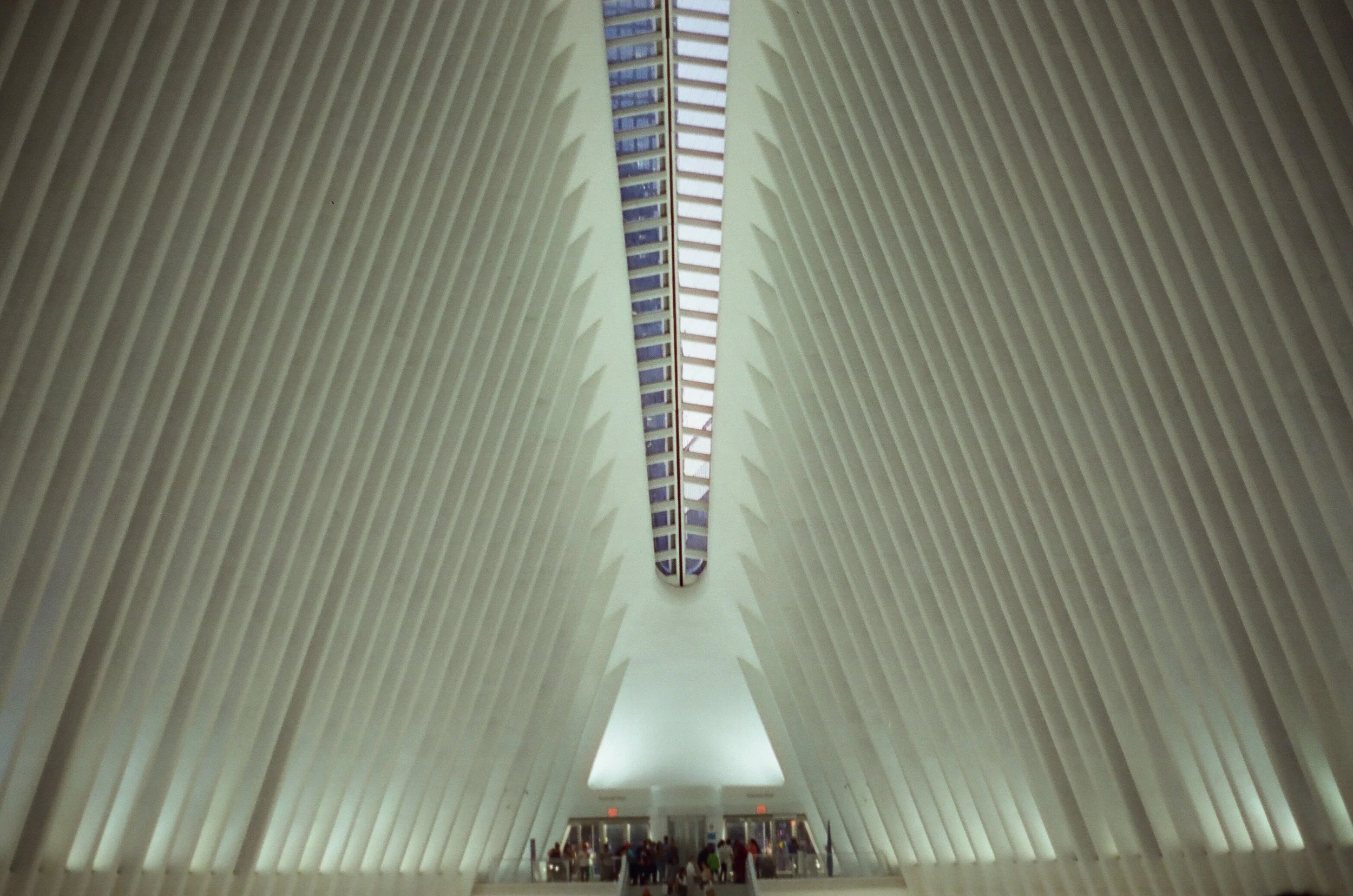 20230823-2023.08.19- CineStill 400D_Photowalk_00103.jpg