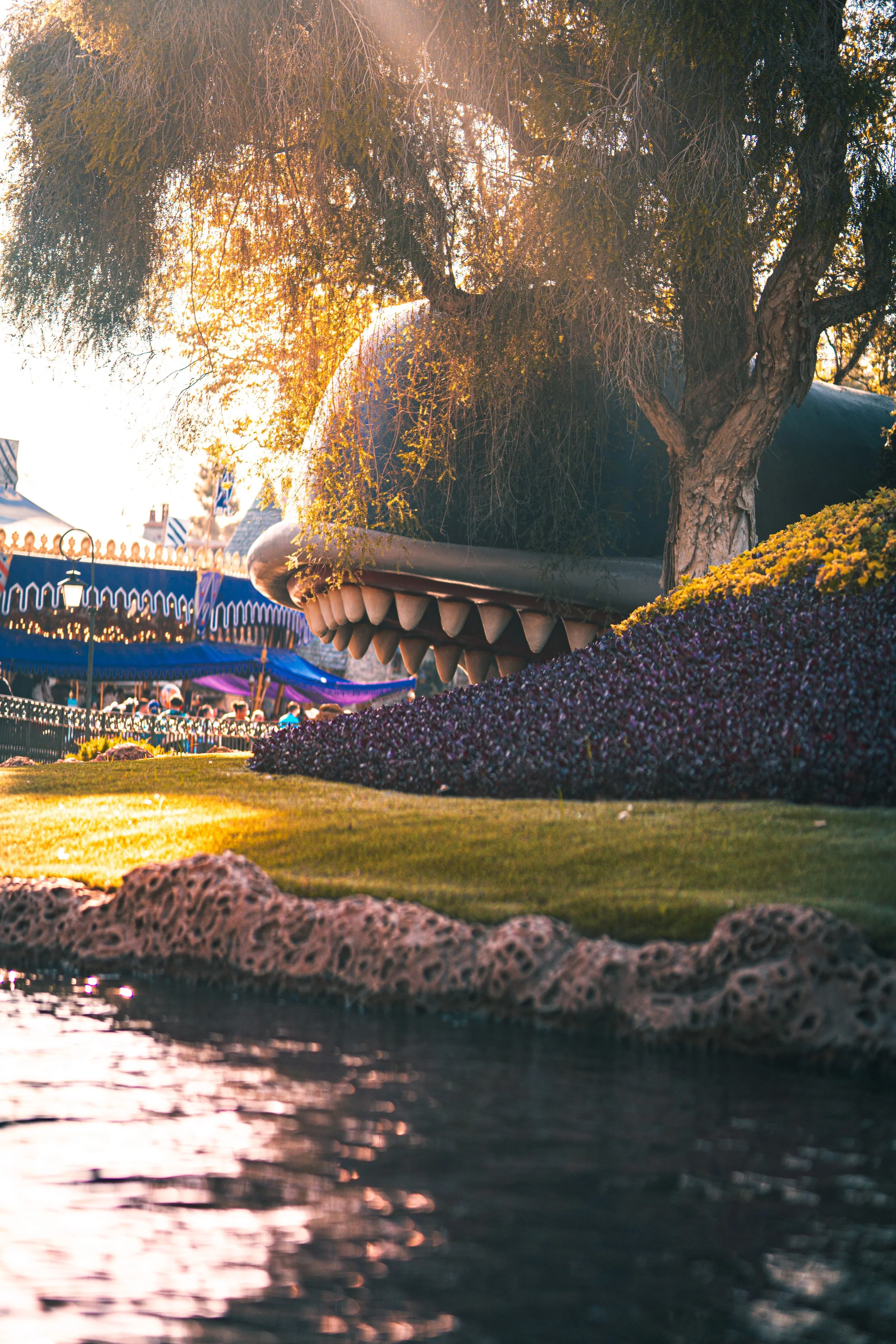 Disneyland 10:1808148.JPG