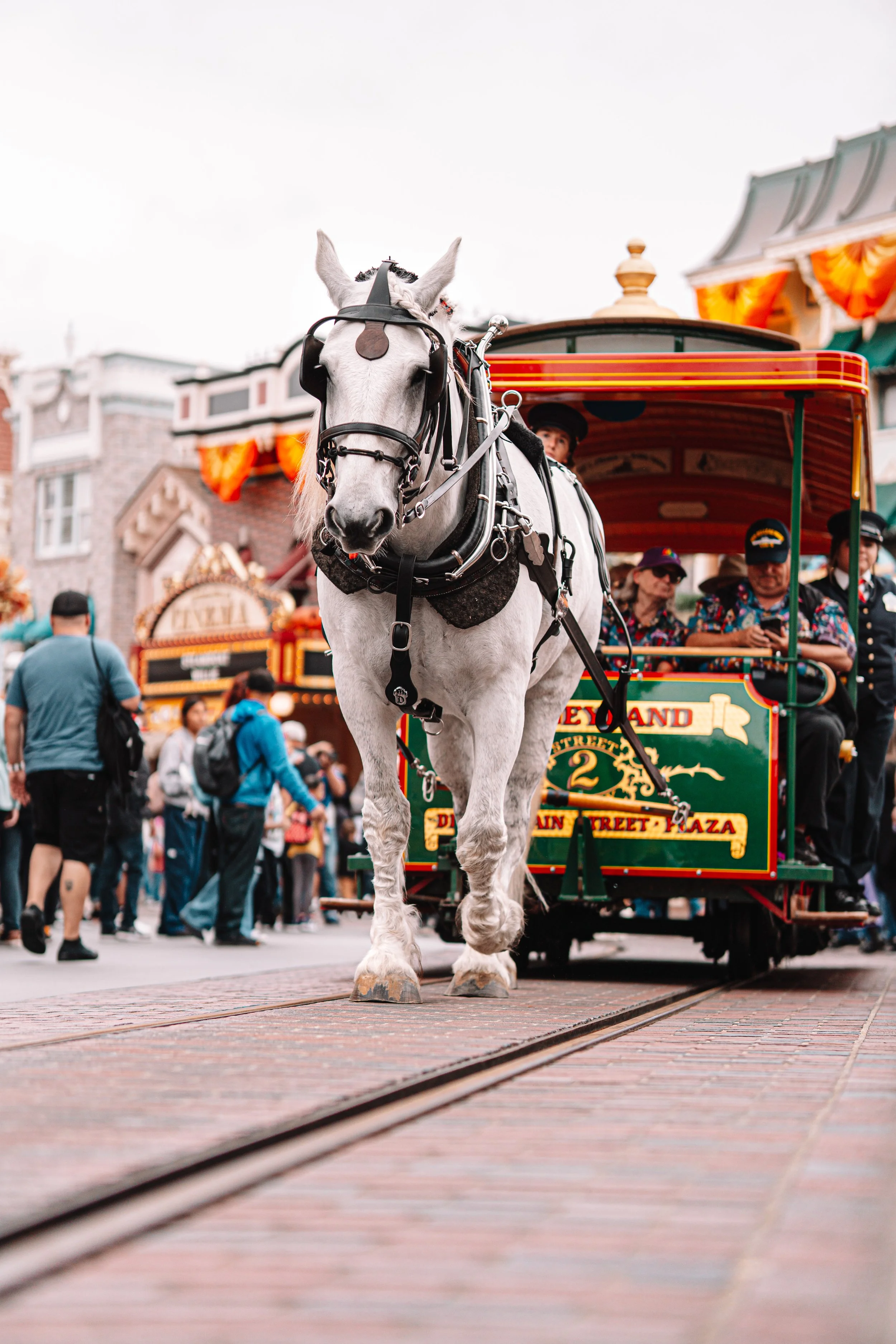 Disneyland 10:15_04829.JPG