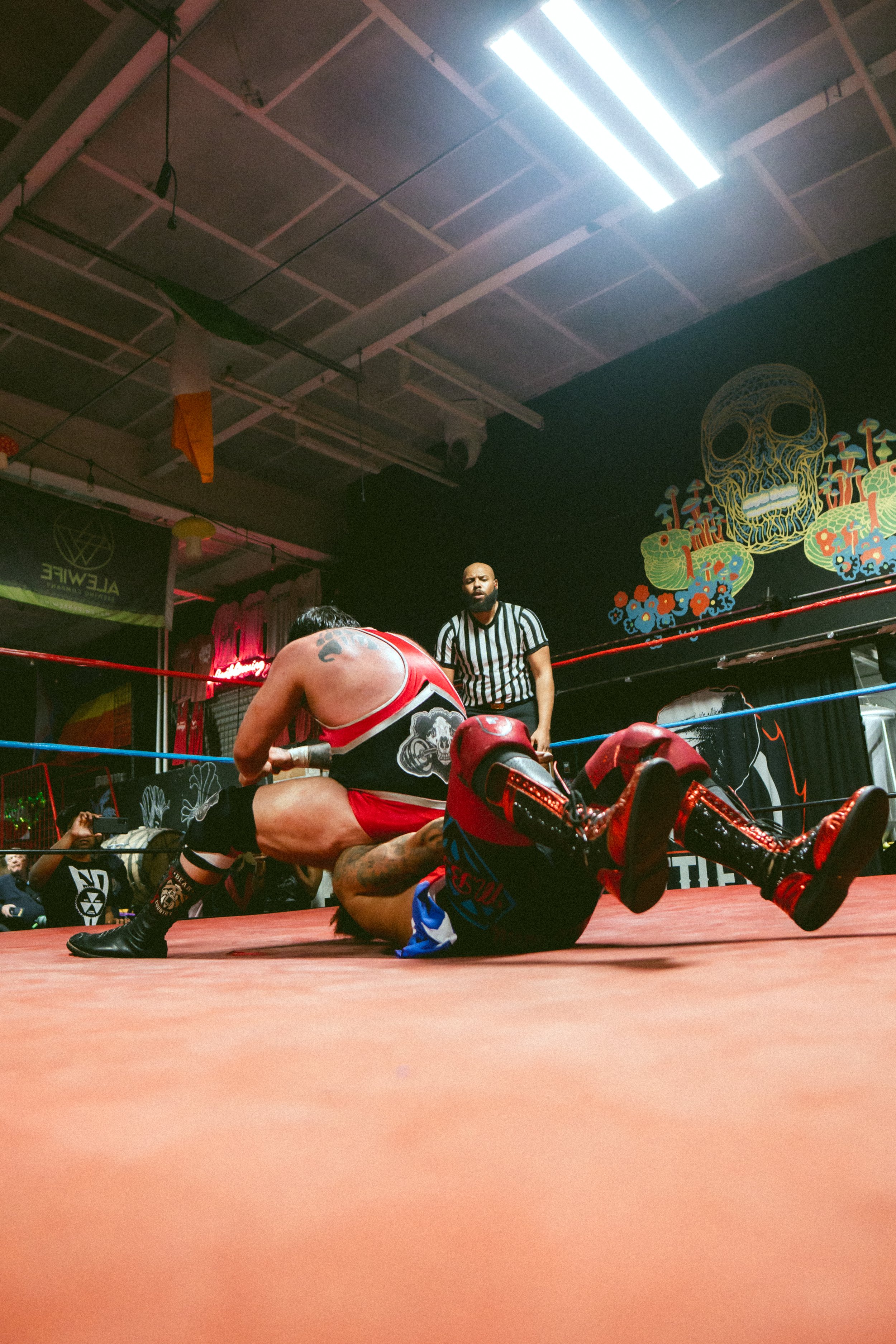 2025.03.23- BCP_Let's Go_00430_Savage Gnomies V Federated.jpg