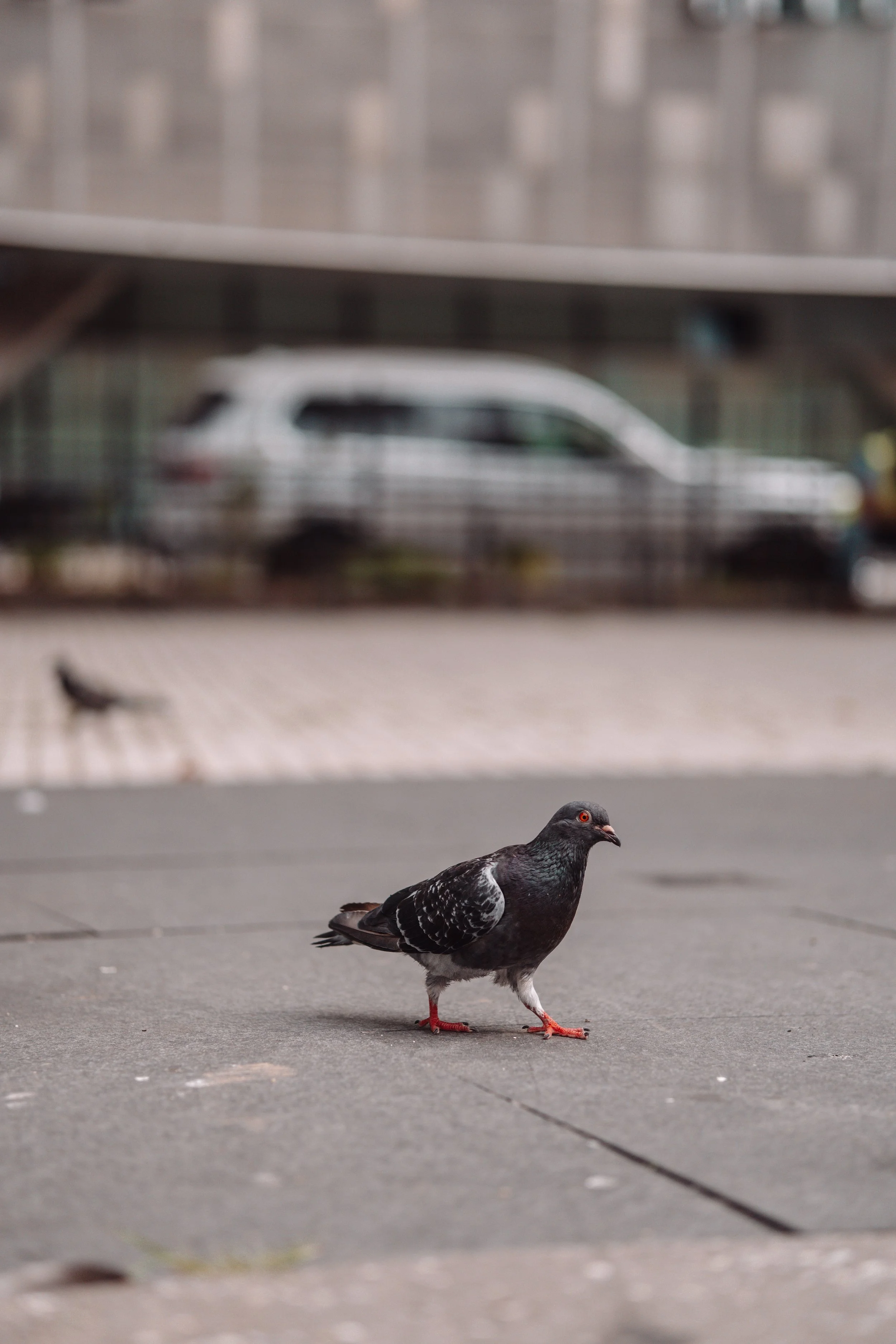 365 Day Challenge_04984.JPG