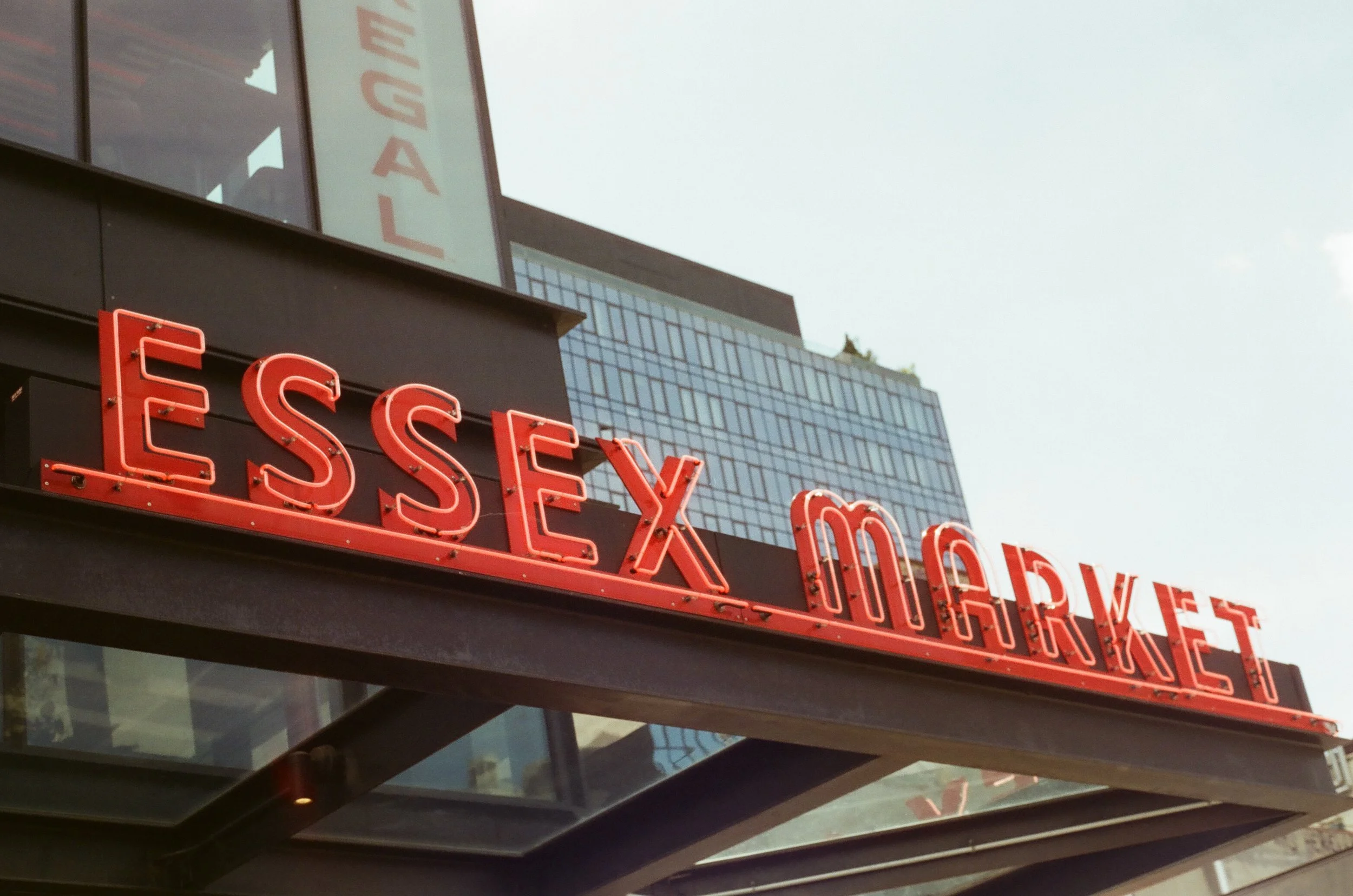 20230823-2023.08.19- CineStill 400D_Photowalk_00029.jpg