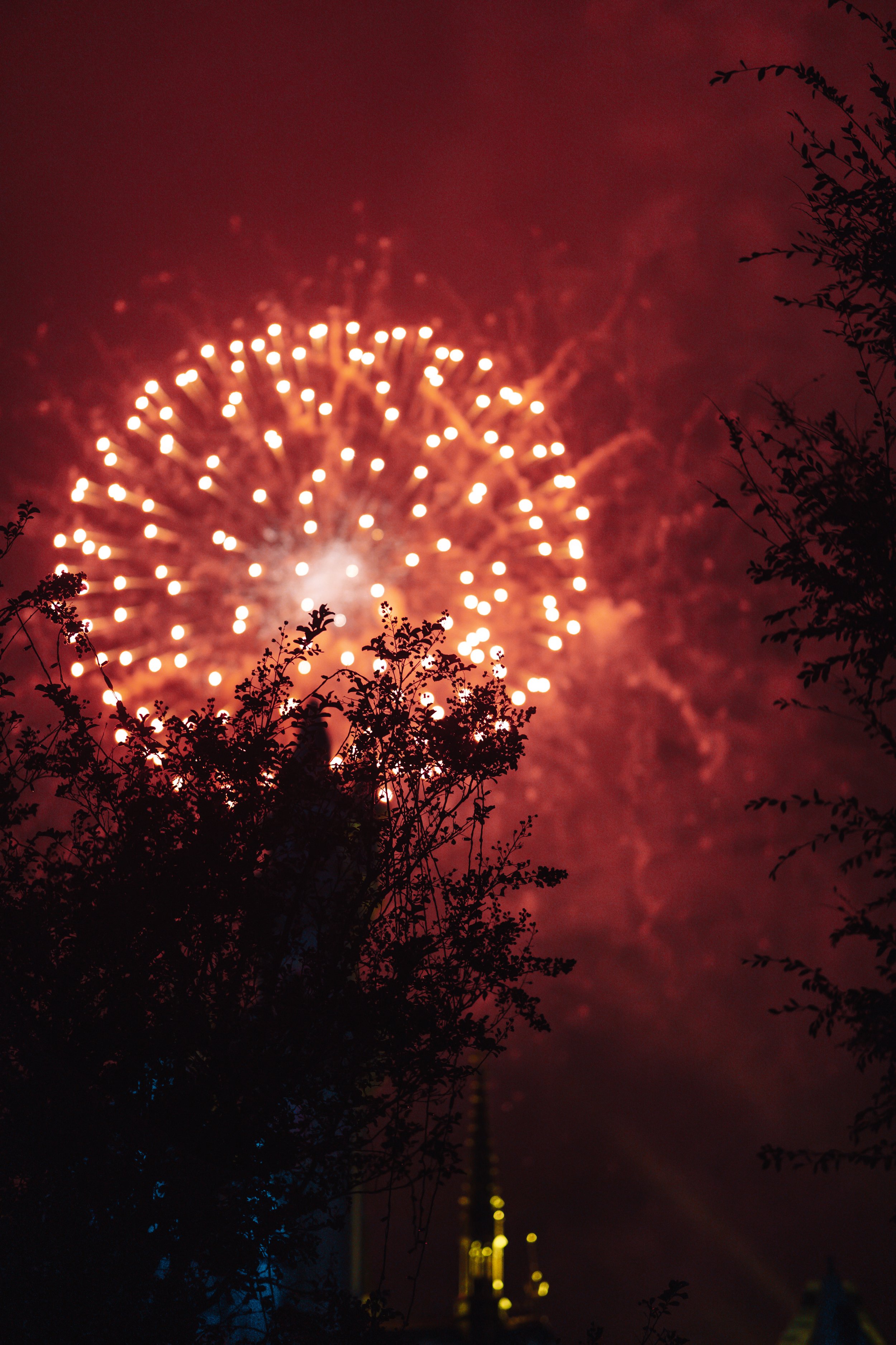 Disneyland 10:21_00872.JPG