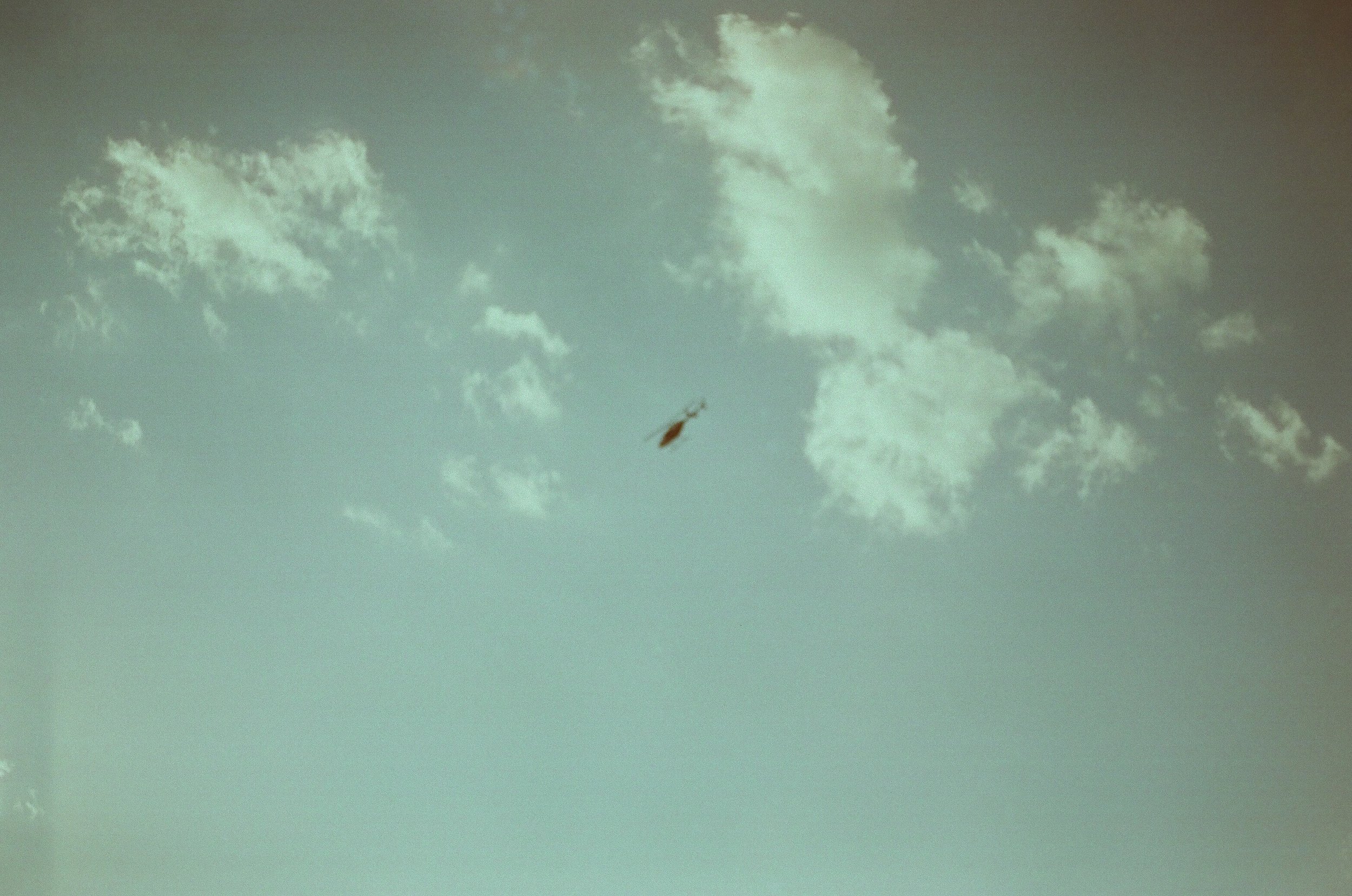 20230823-2023.08.19- CineStill 400D_Photowalk_00056.jpg