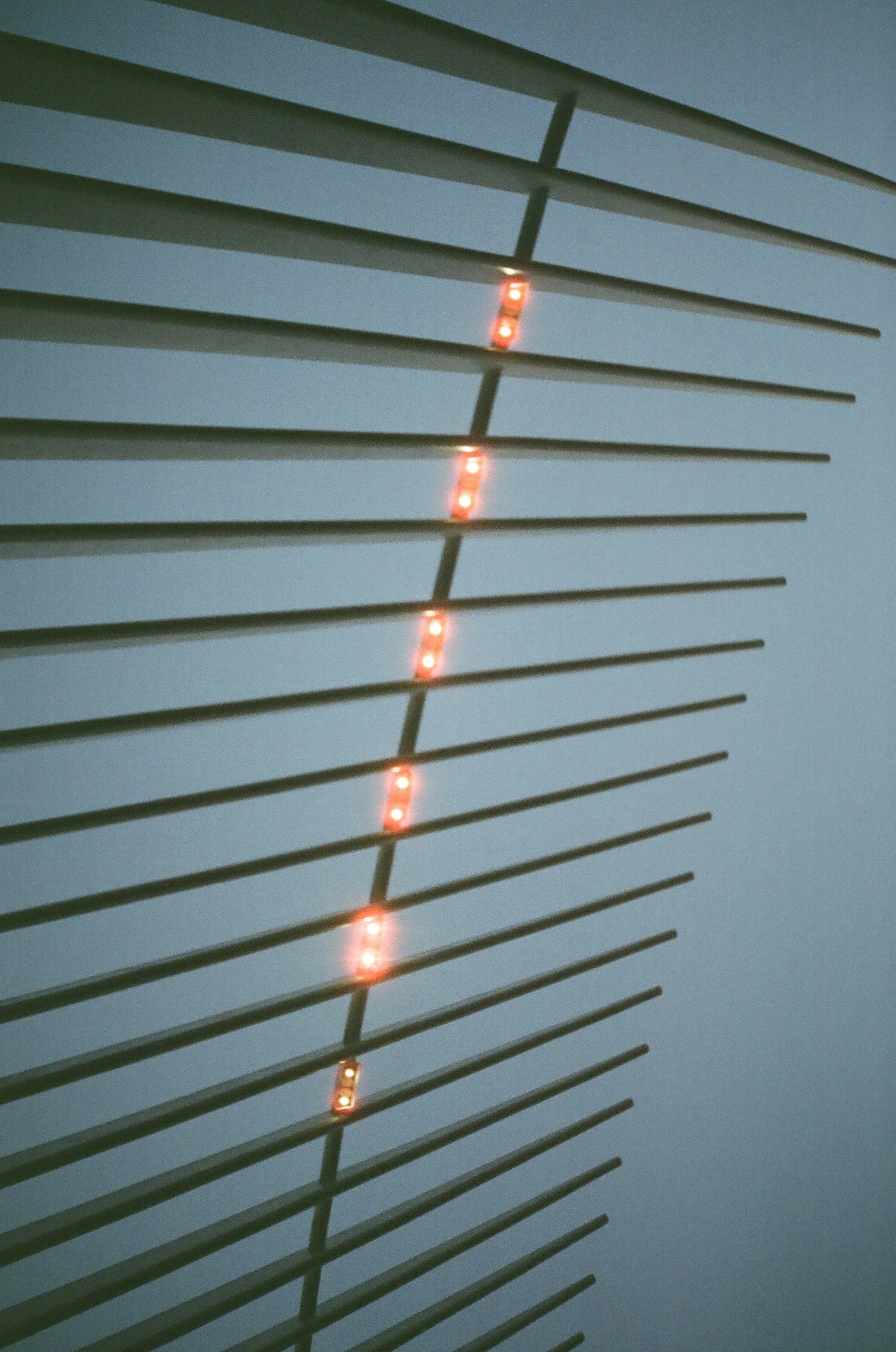 20230823-2023.08.19- CineStill 400D_Photowalk_00098.jpg