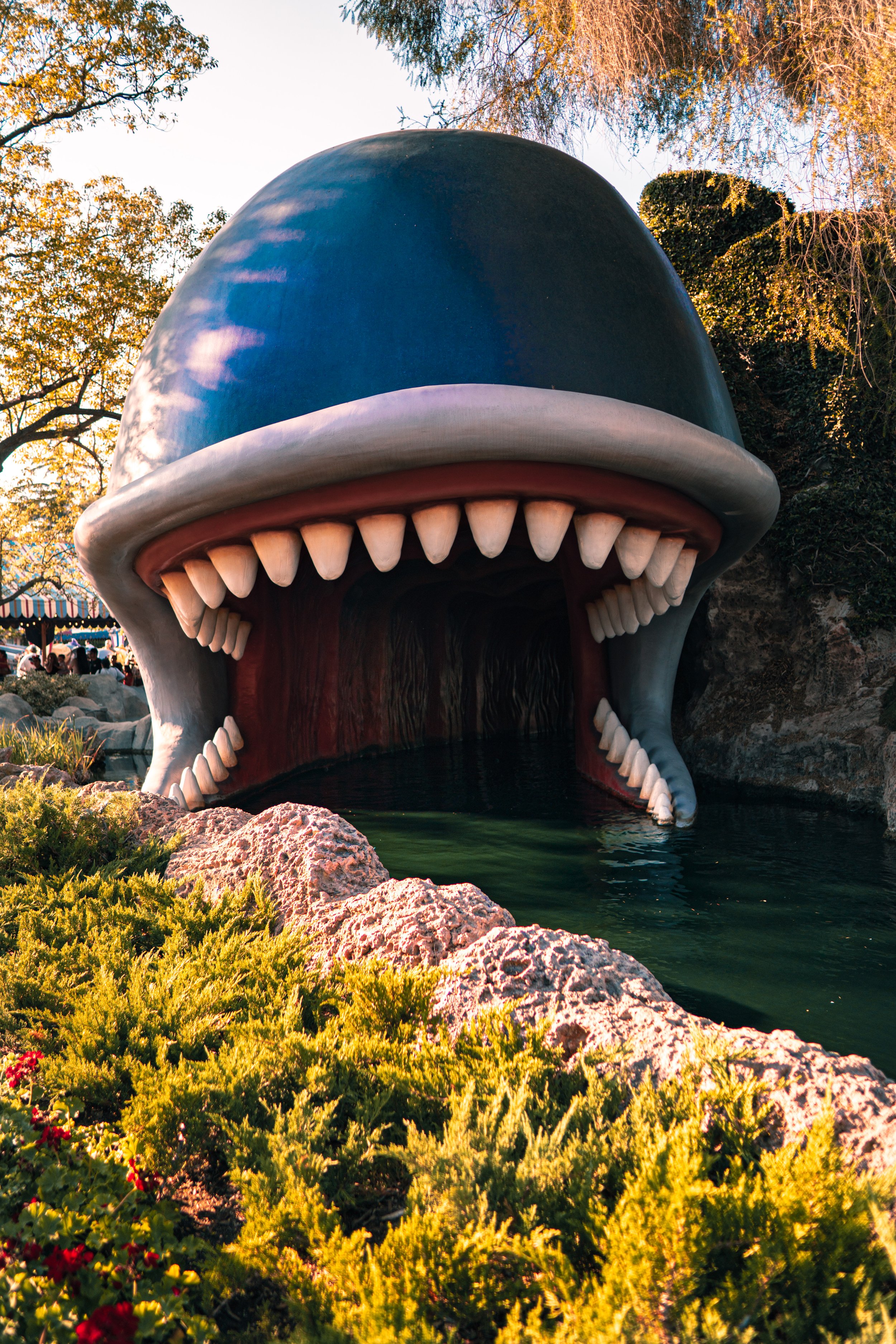 Disneyland 10:1808151.JPG