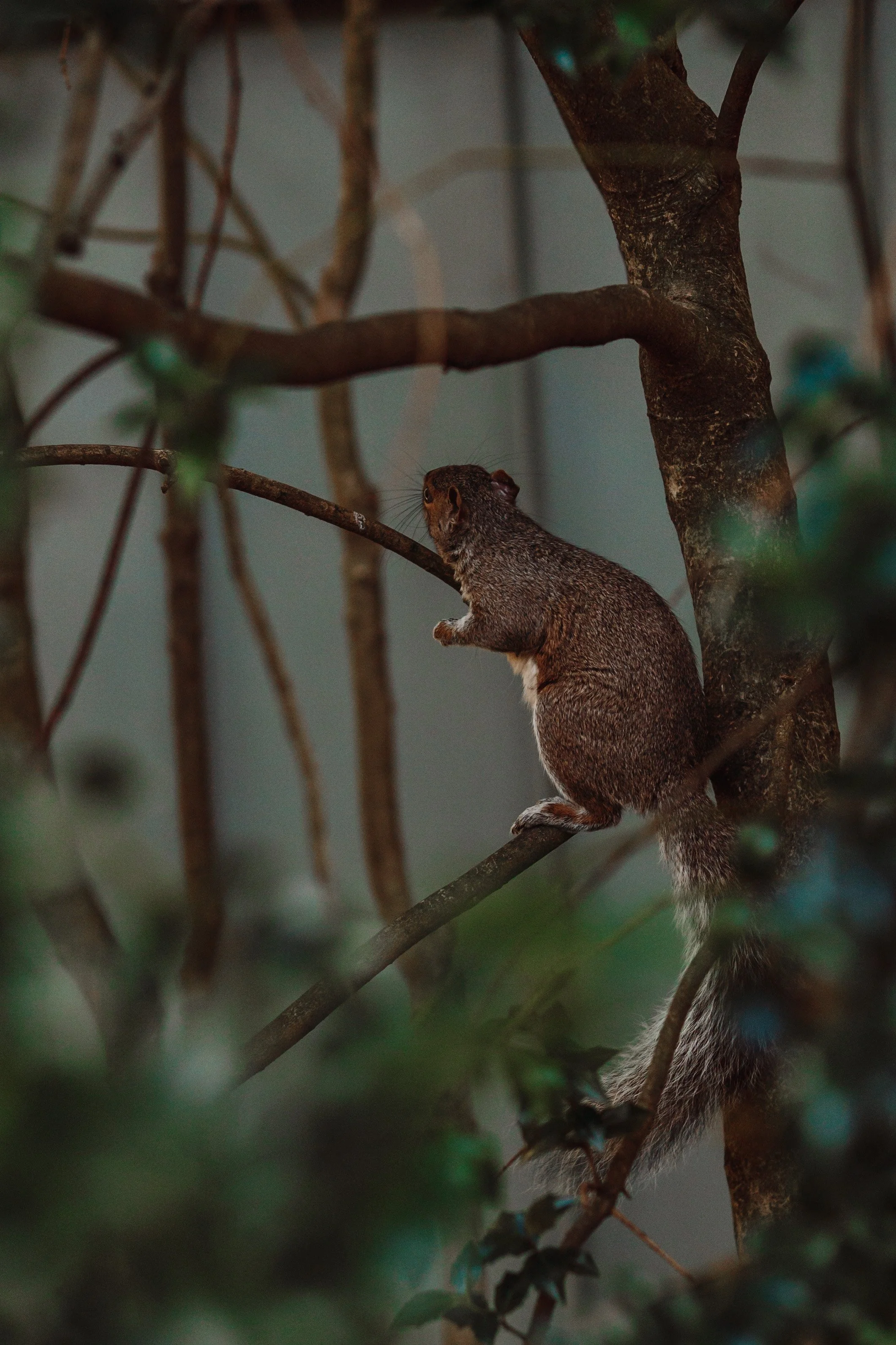 365 Day Challenge_00932.JPG