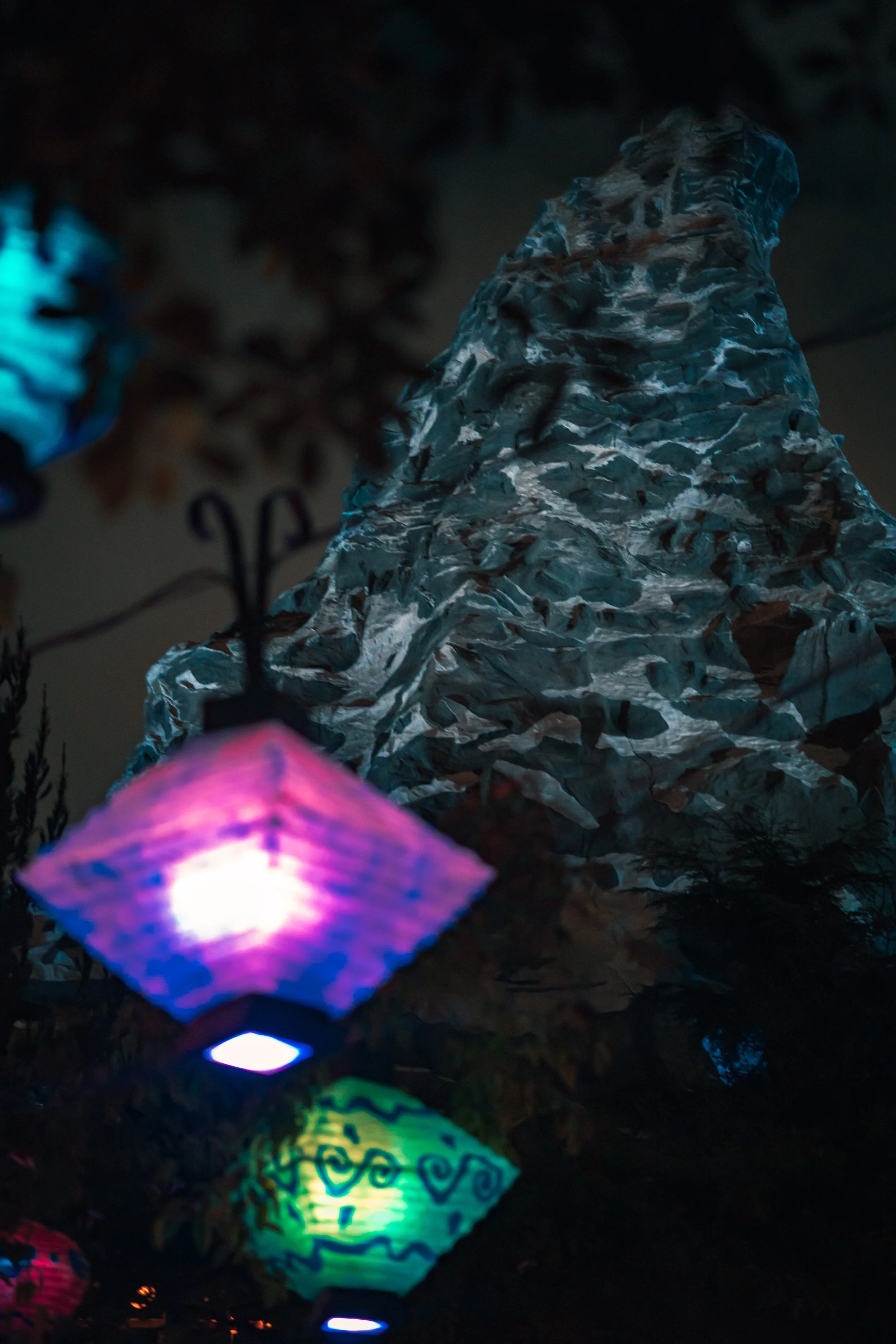 Disneyland 10:21_01080.JPG