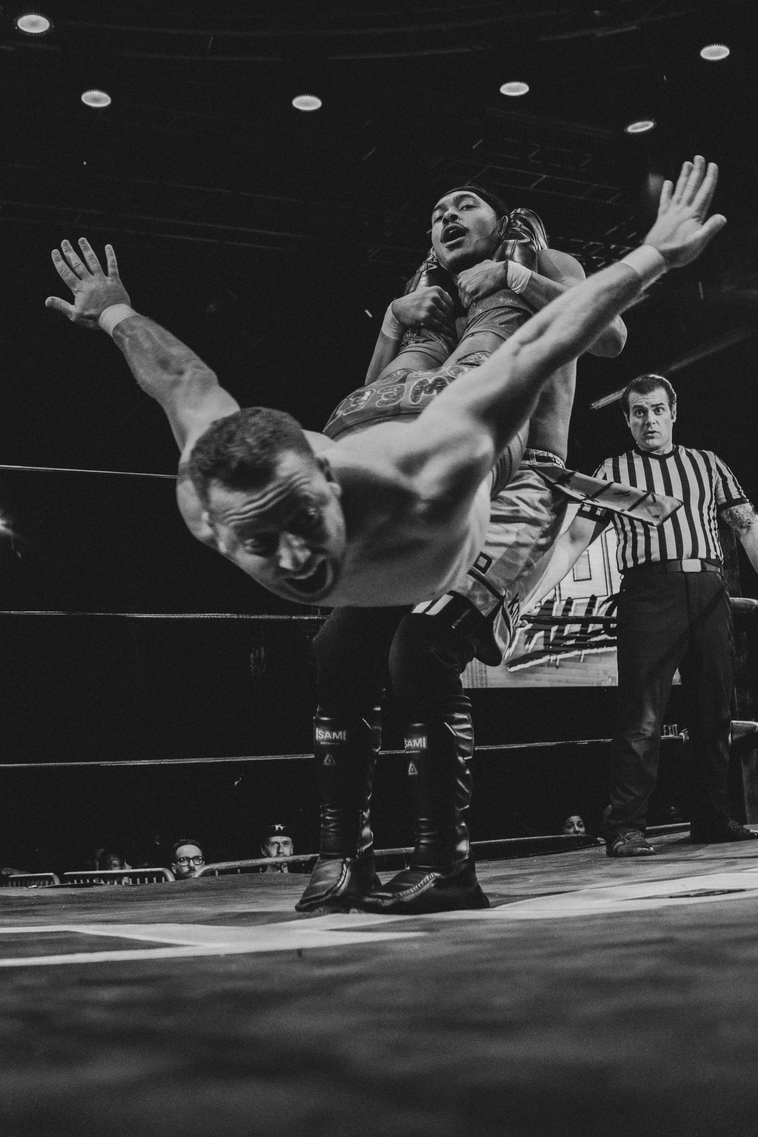 20230915_HOG Fallout_00001.jpg